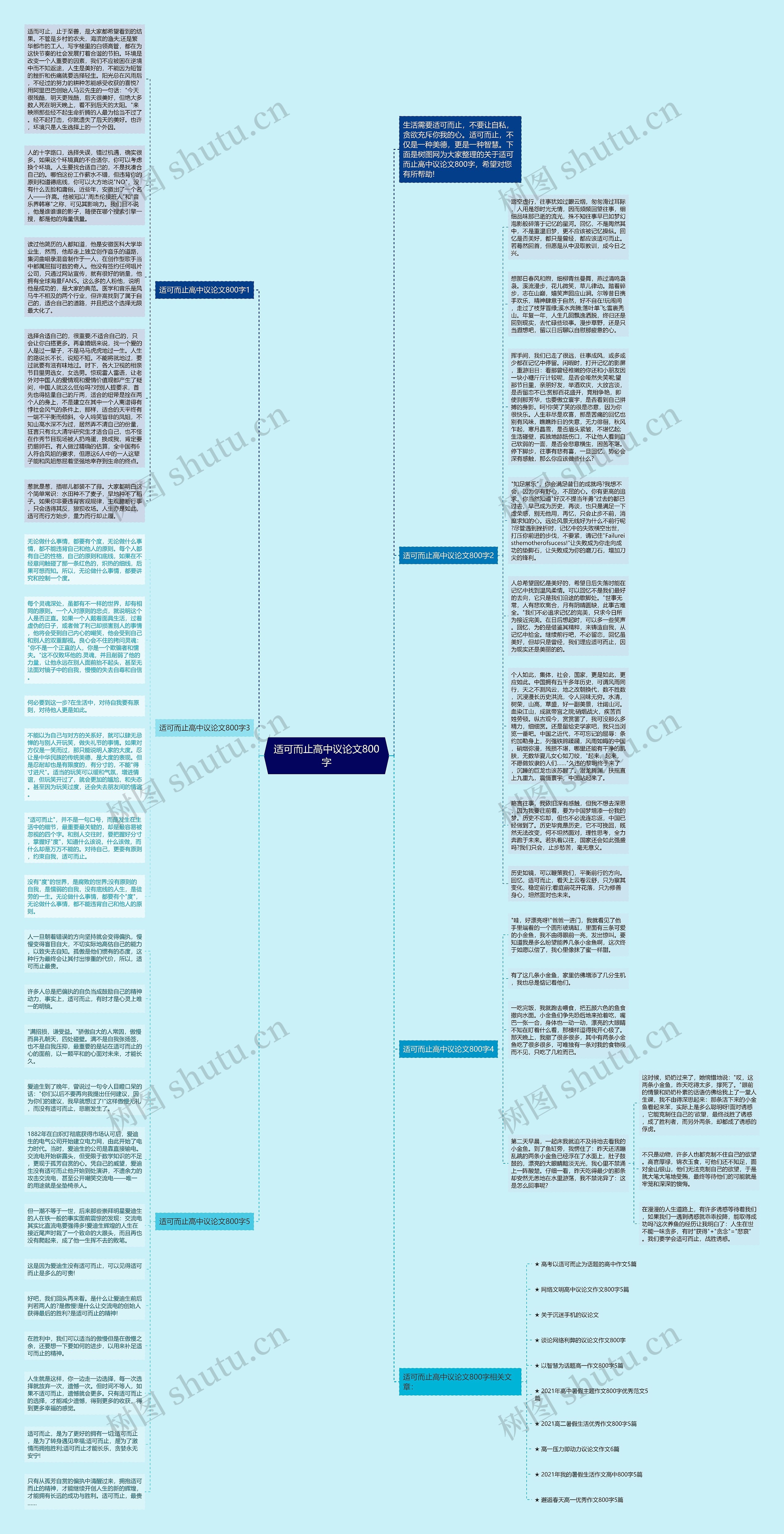 适可而止高中议论文800字思维导图