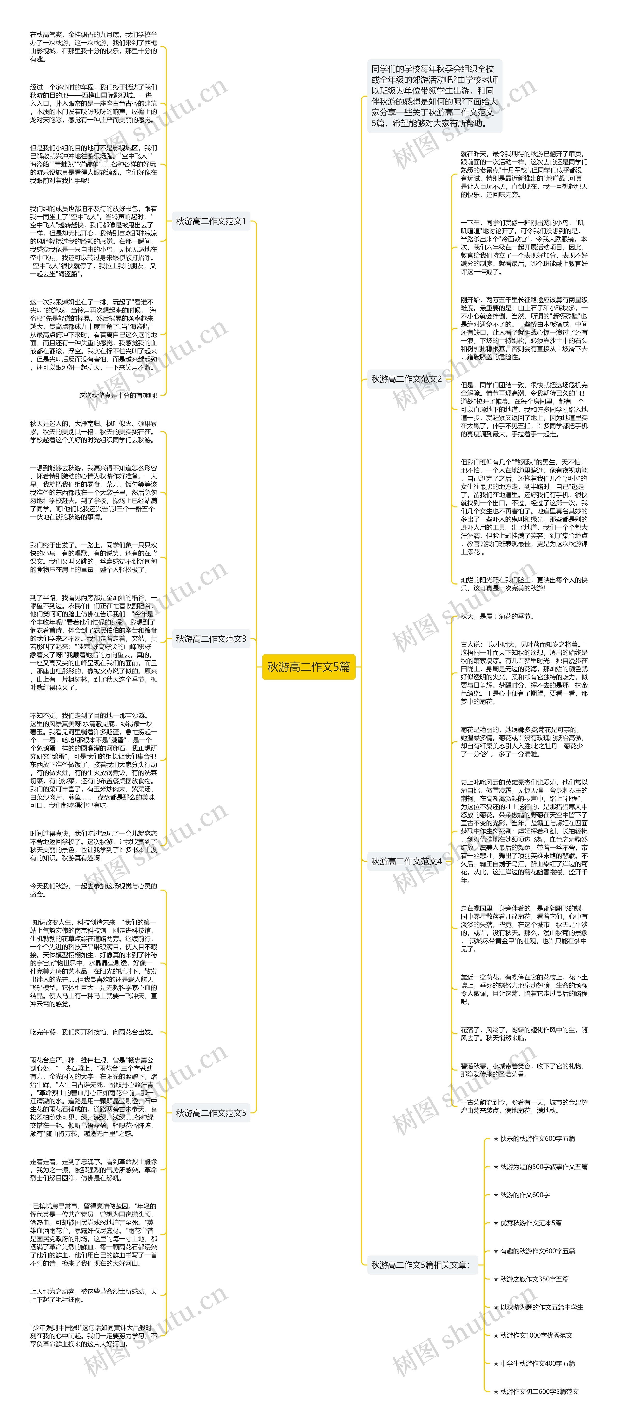 秋游高二作文5篇思维导图