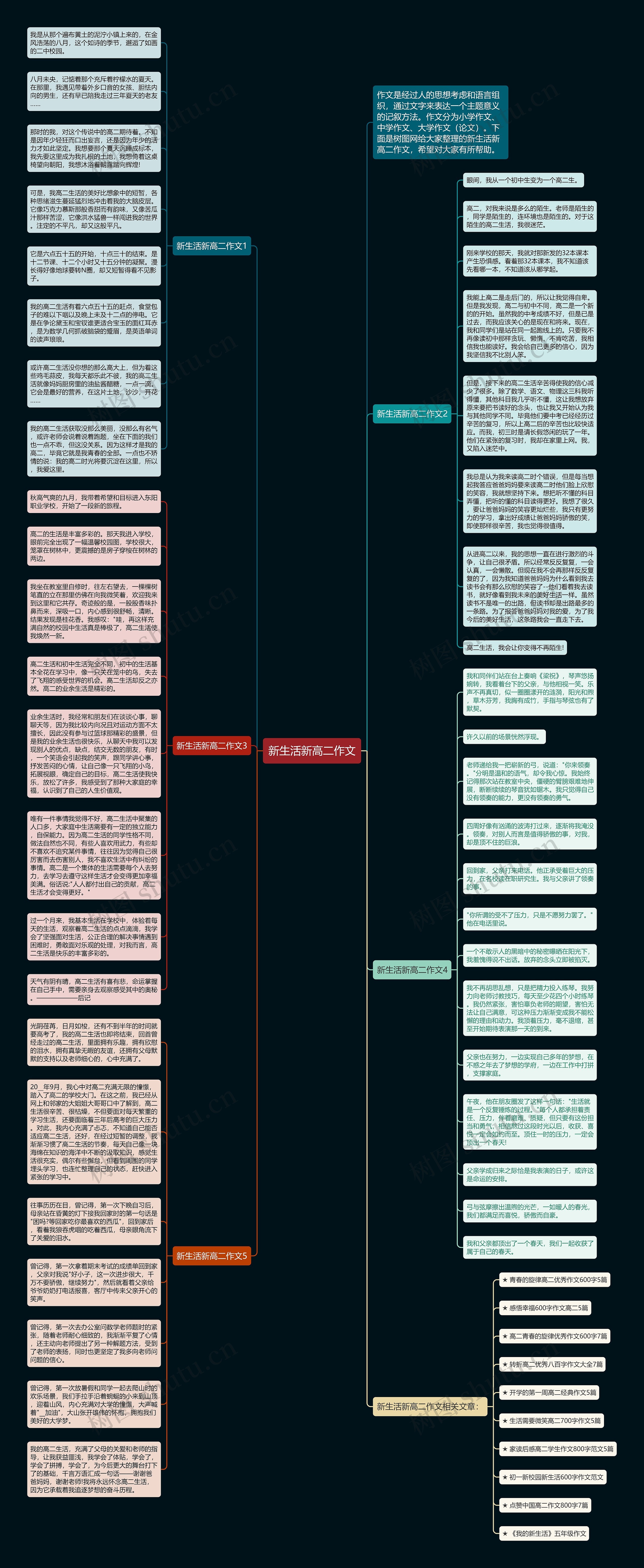 新生活新高二作文思维导图