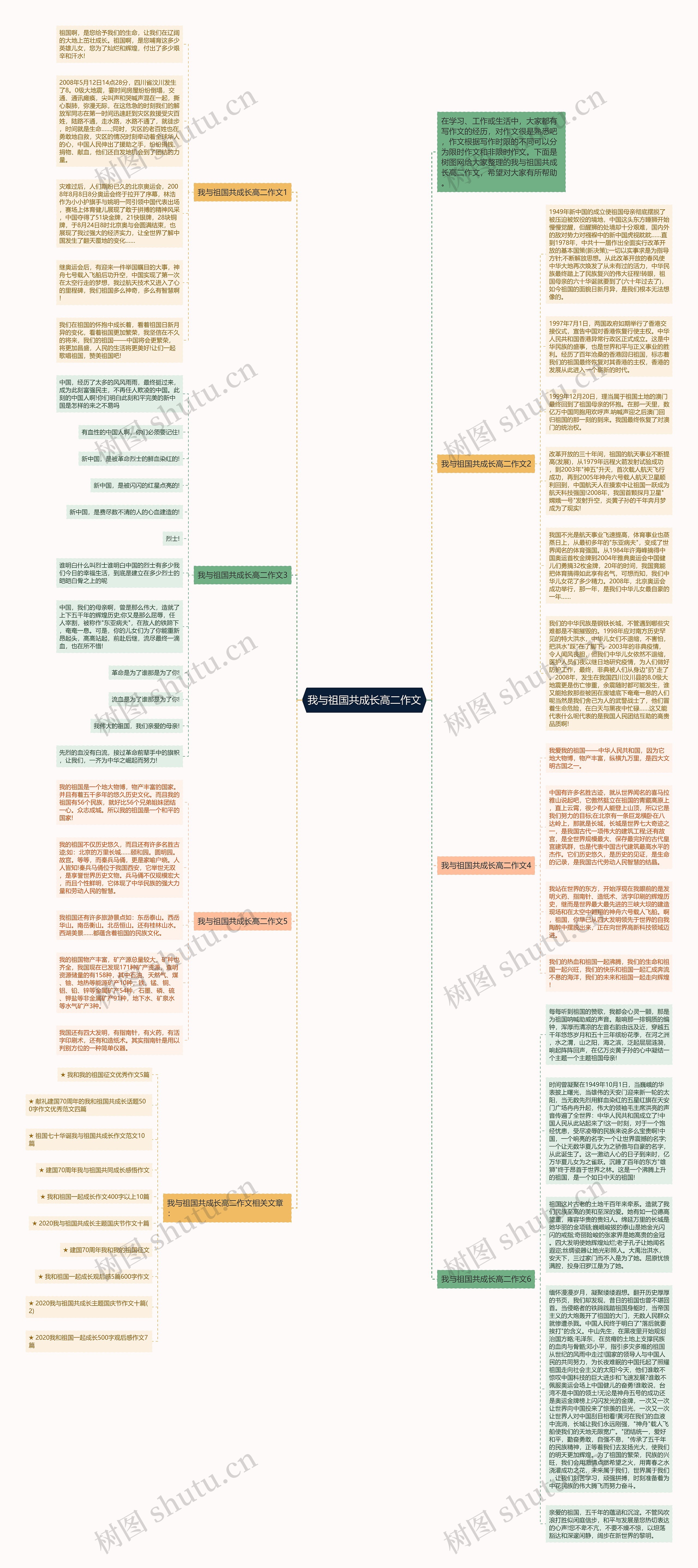 我与祖国共成长高二作文思维导图