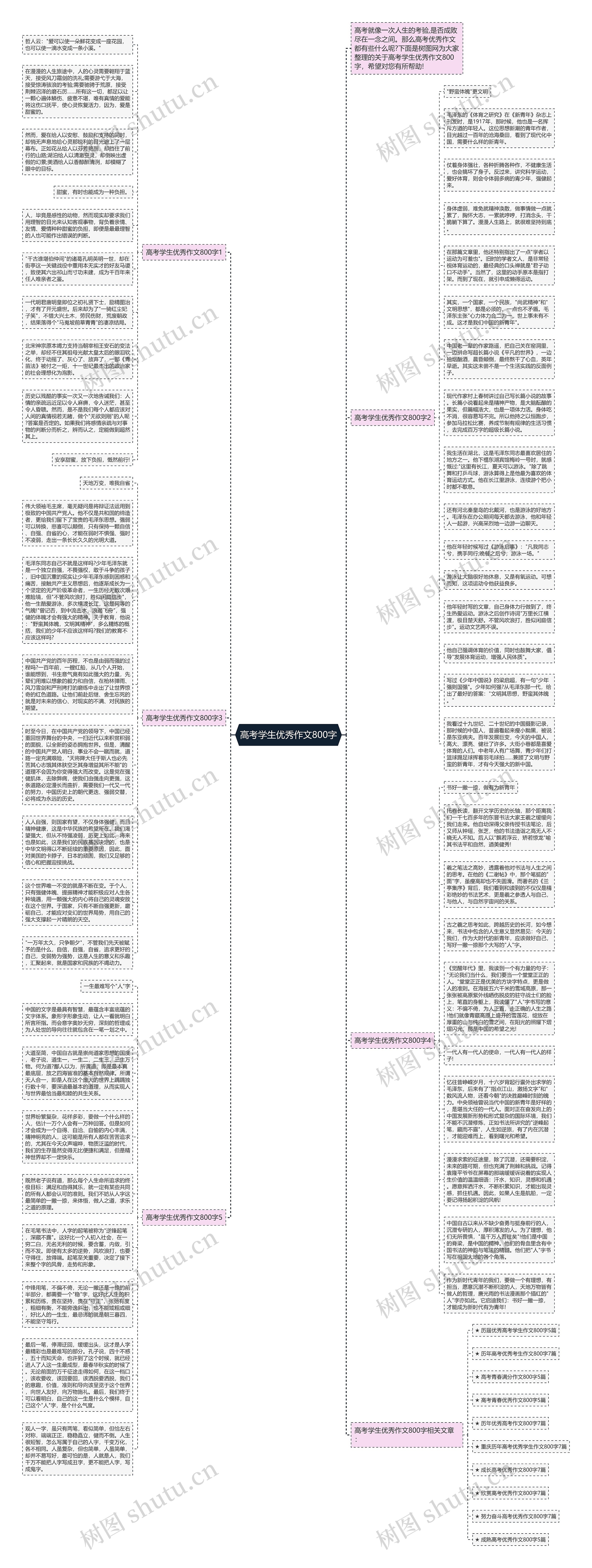 高考学生优秀作文800字思维导图