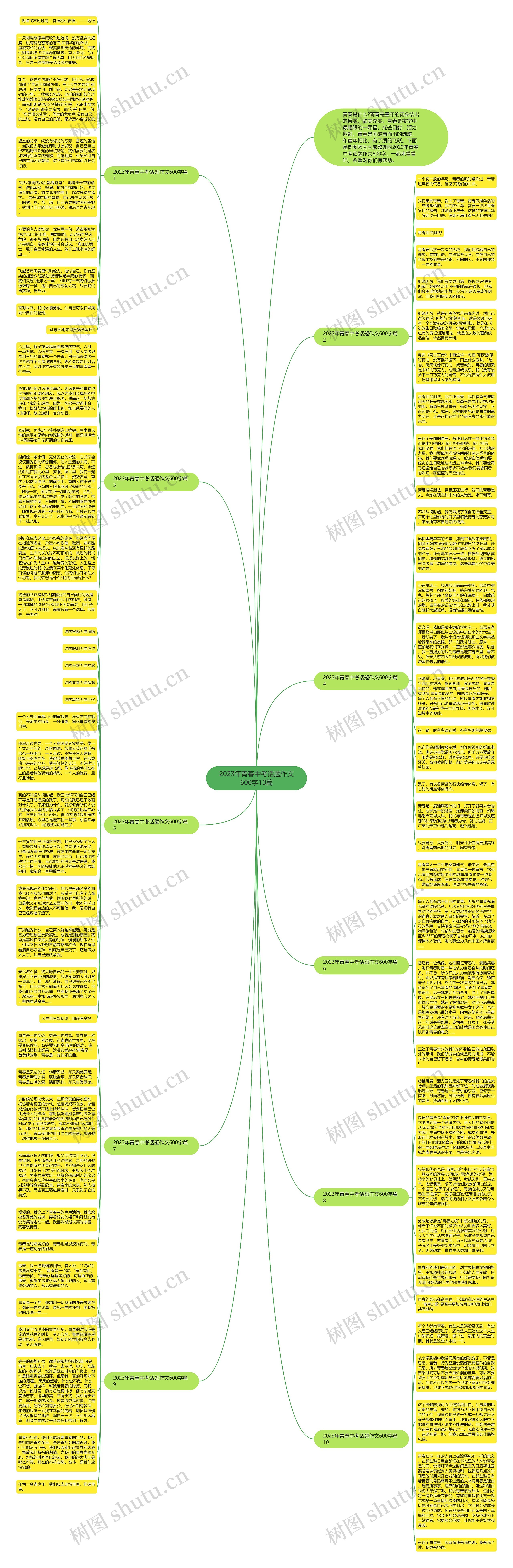 2023年青春中考话题作文600字10篇思维导图