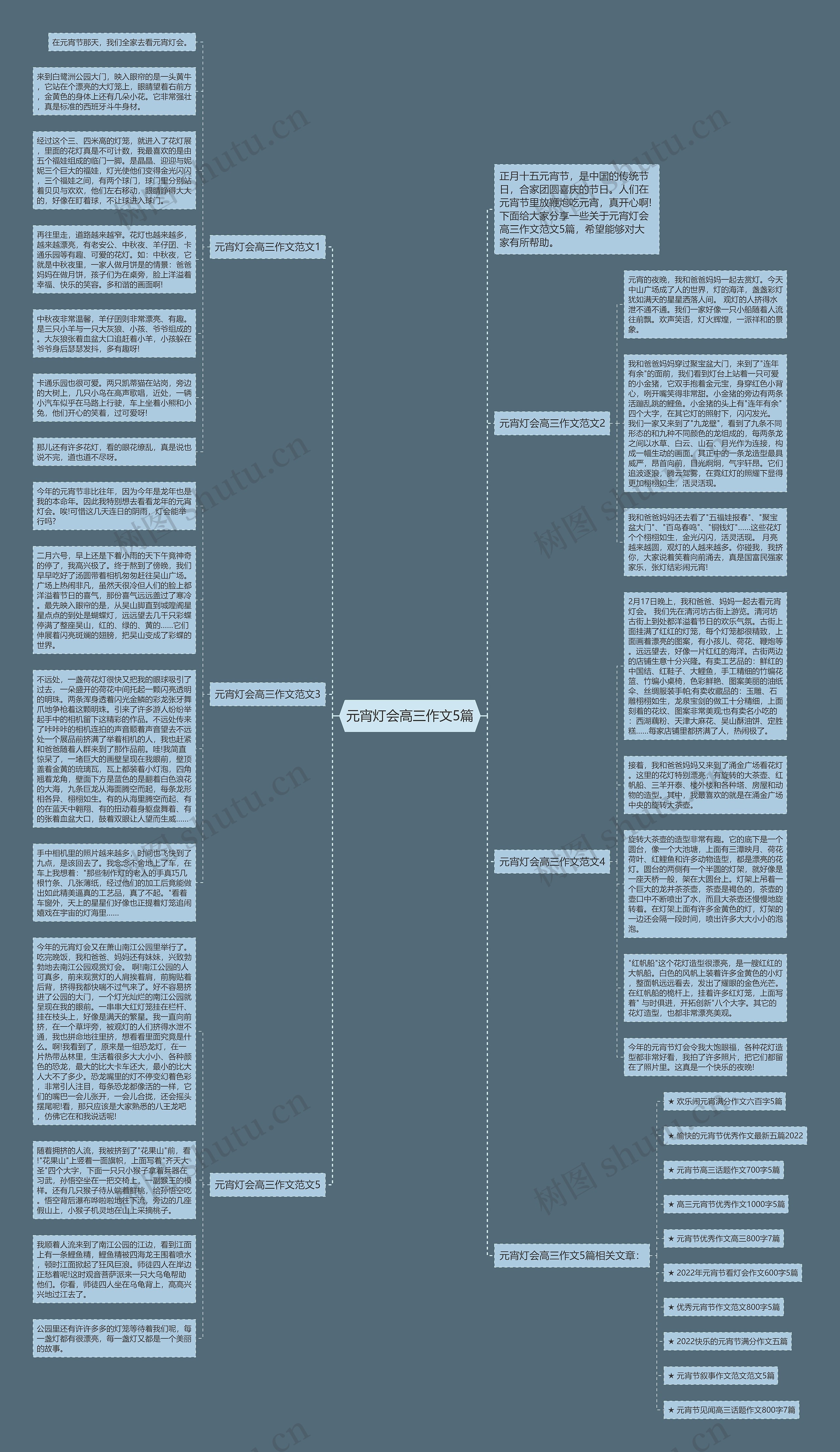 元宵灯会高三作文5篇思维导图
