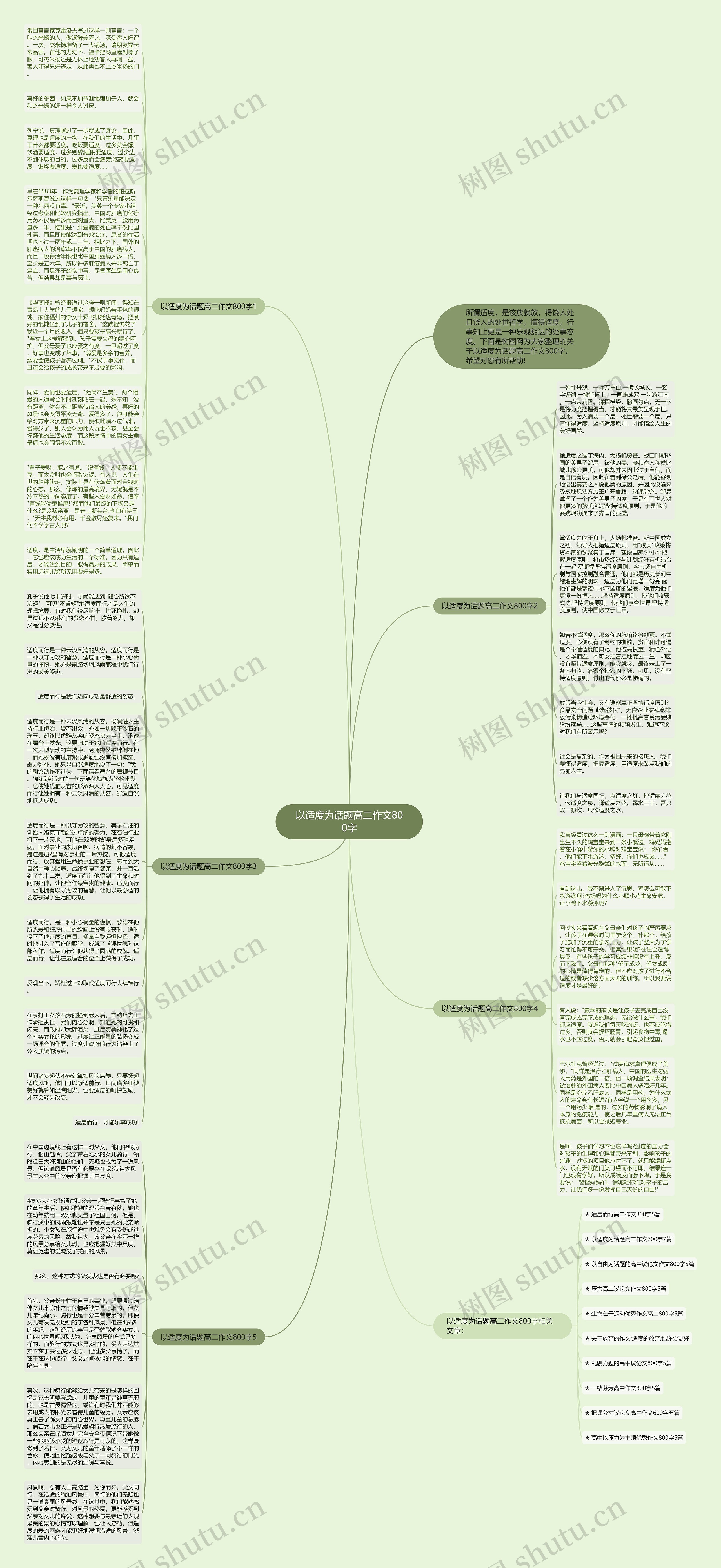 以适度为话题高二作文800字思维导图