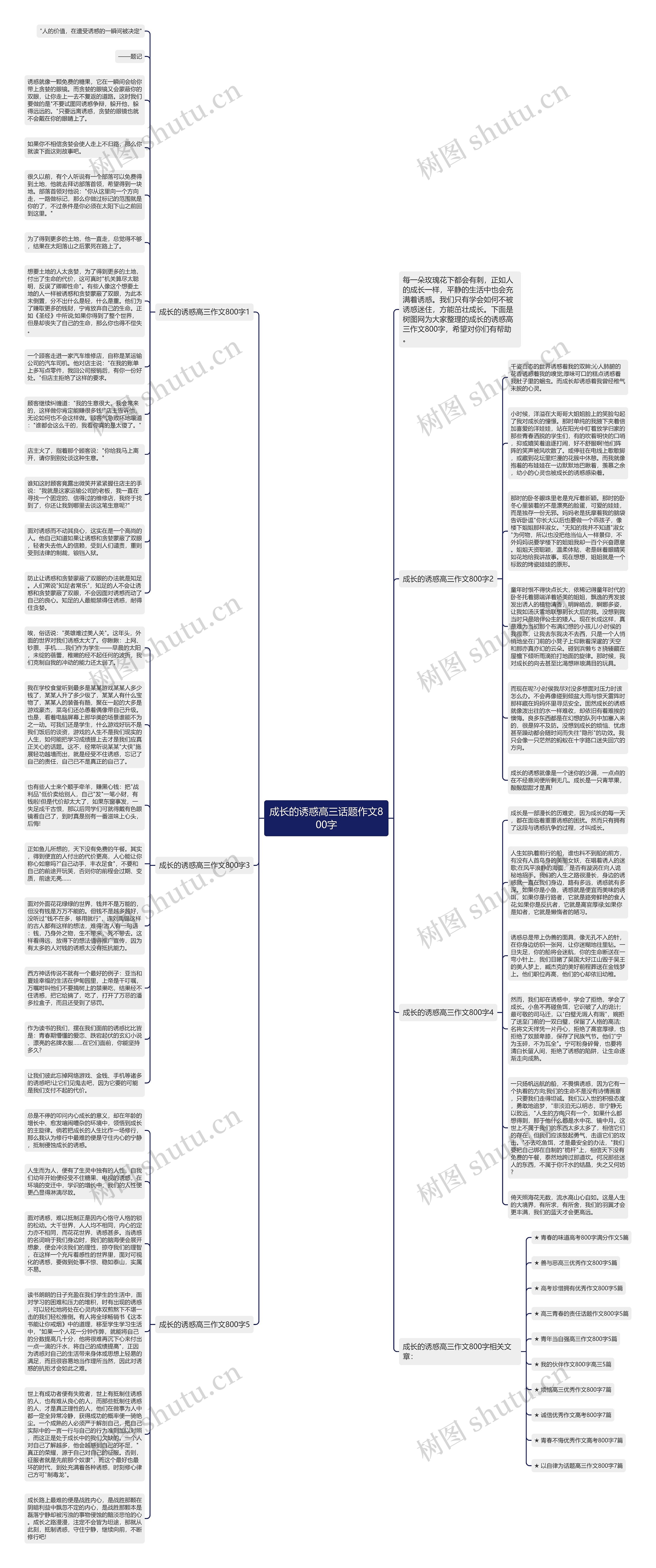 成长的诱惑高三话题作文800字思维导图