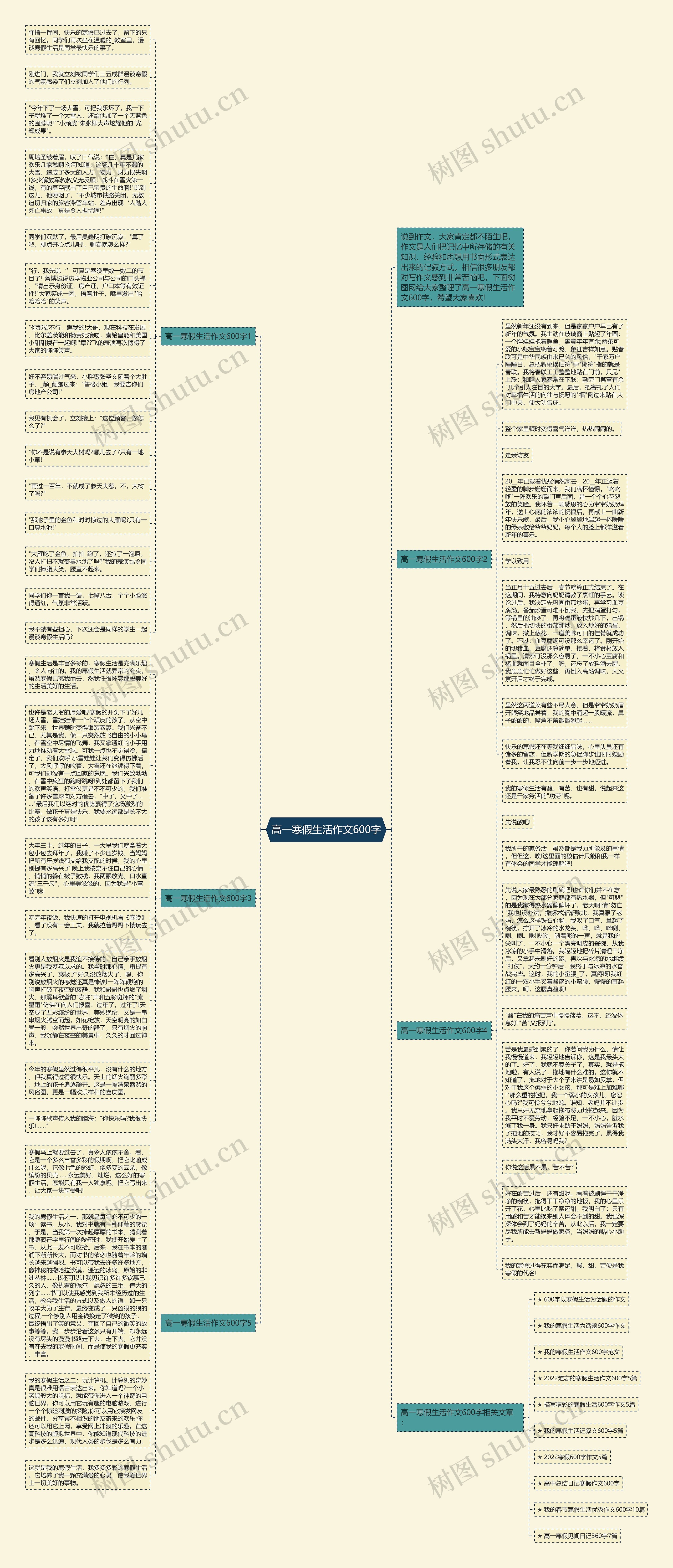 高一寒假生活作文600字思维导图