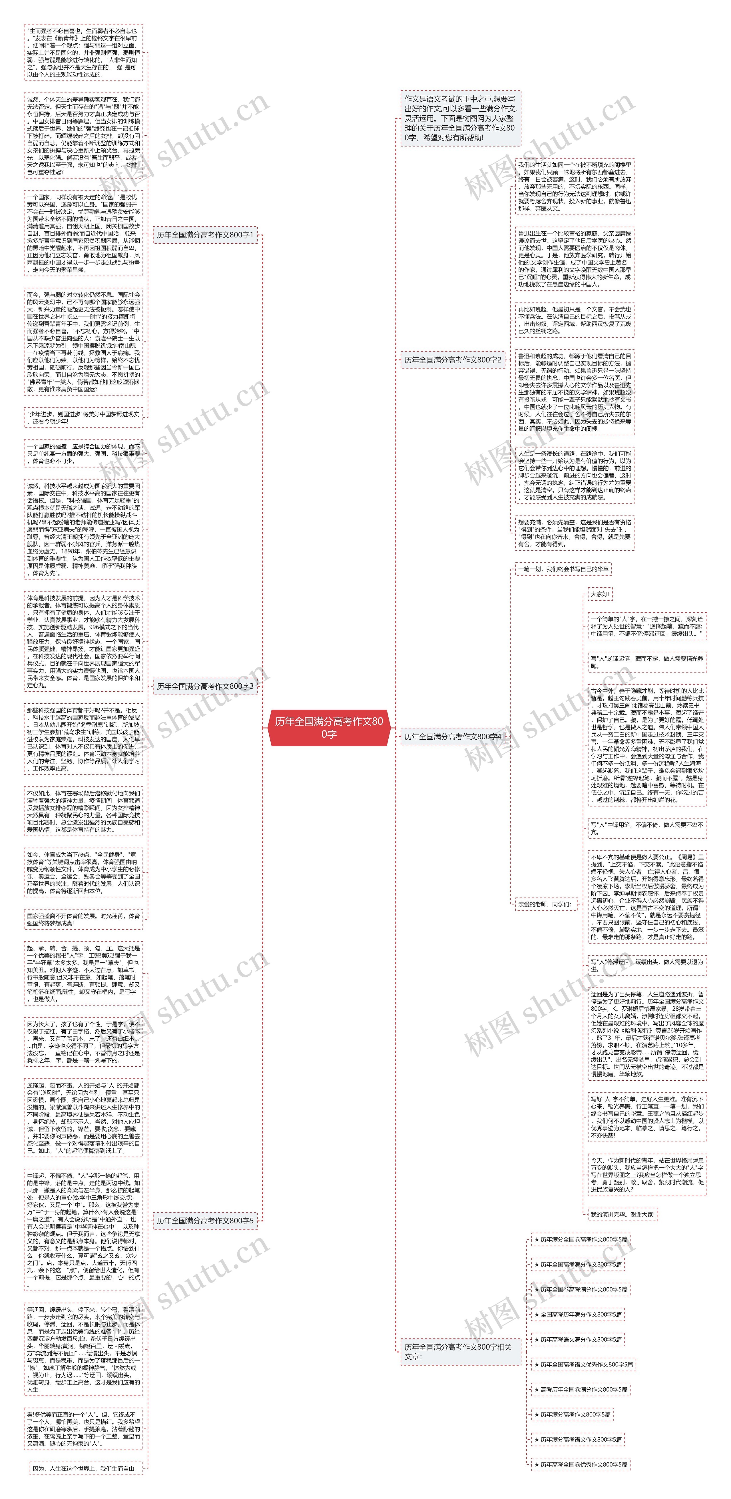 历年全国满分高考作文800字思维导图