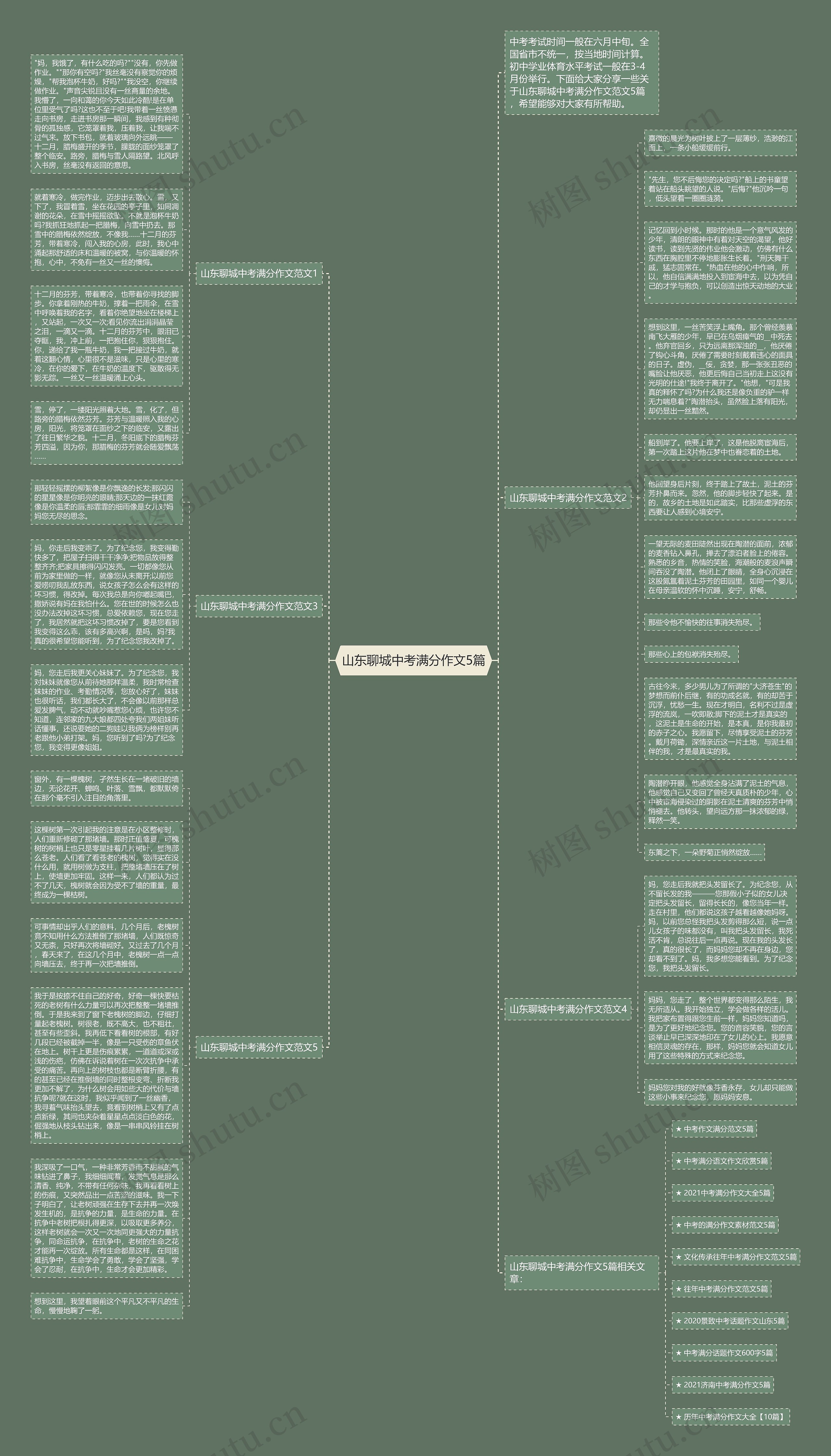 山东聊城中考满分作文5篇思维导图
