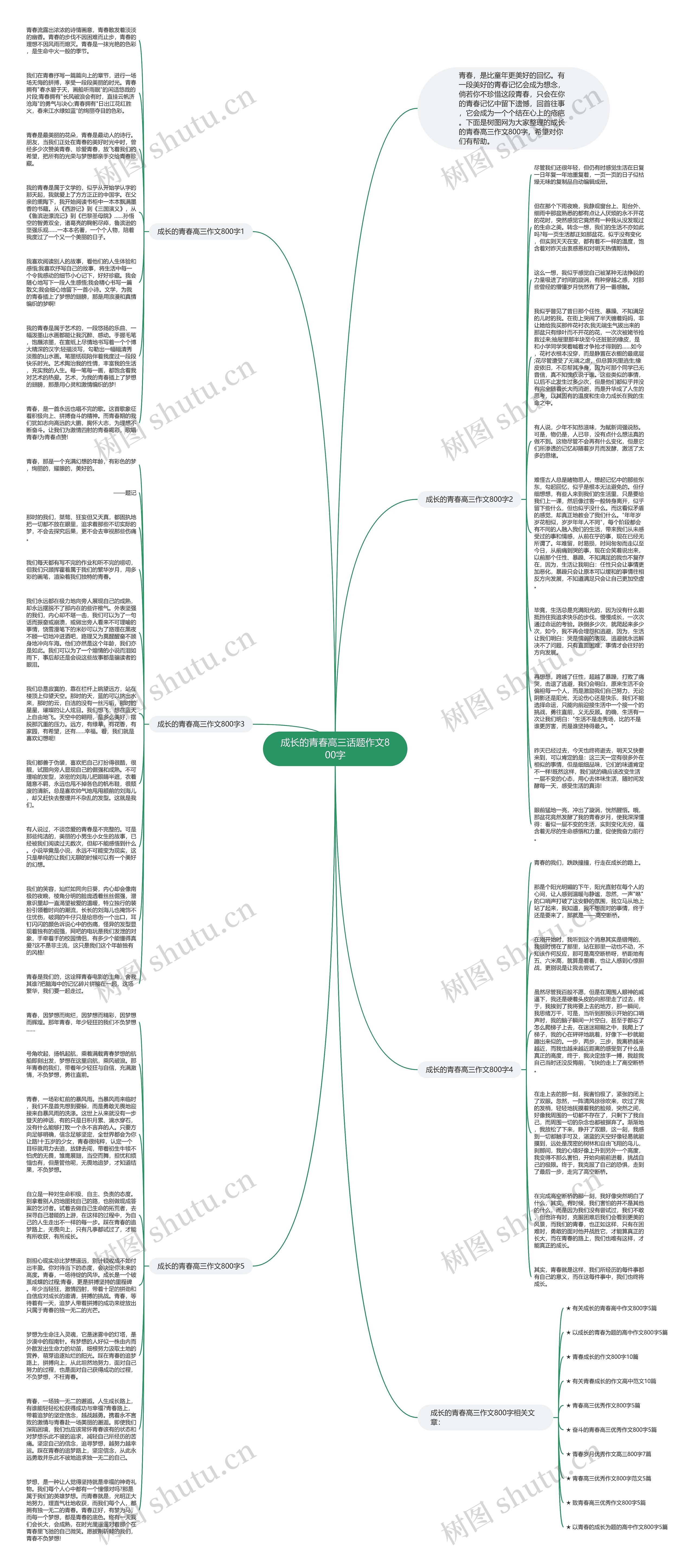 成长的青春高三话题作文800字思维导图
