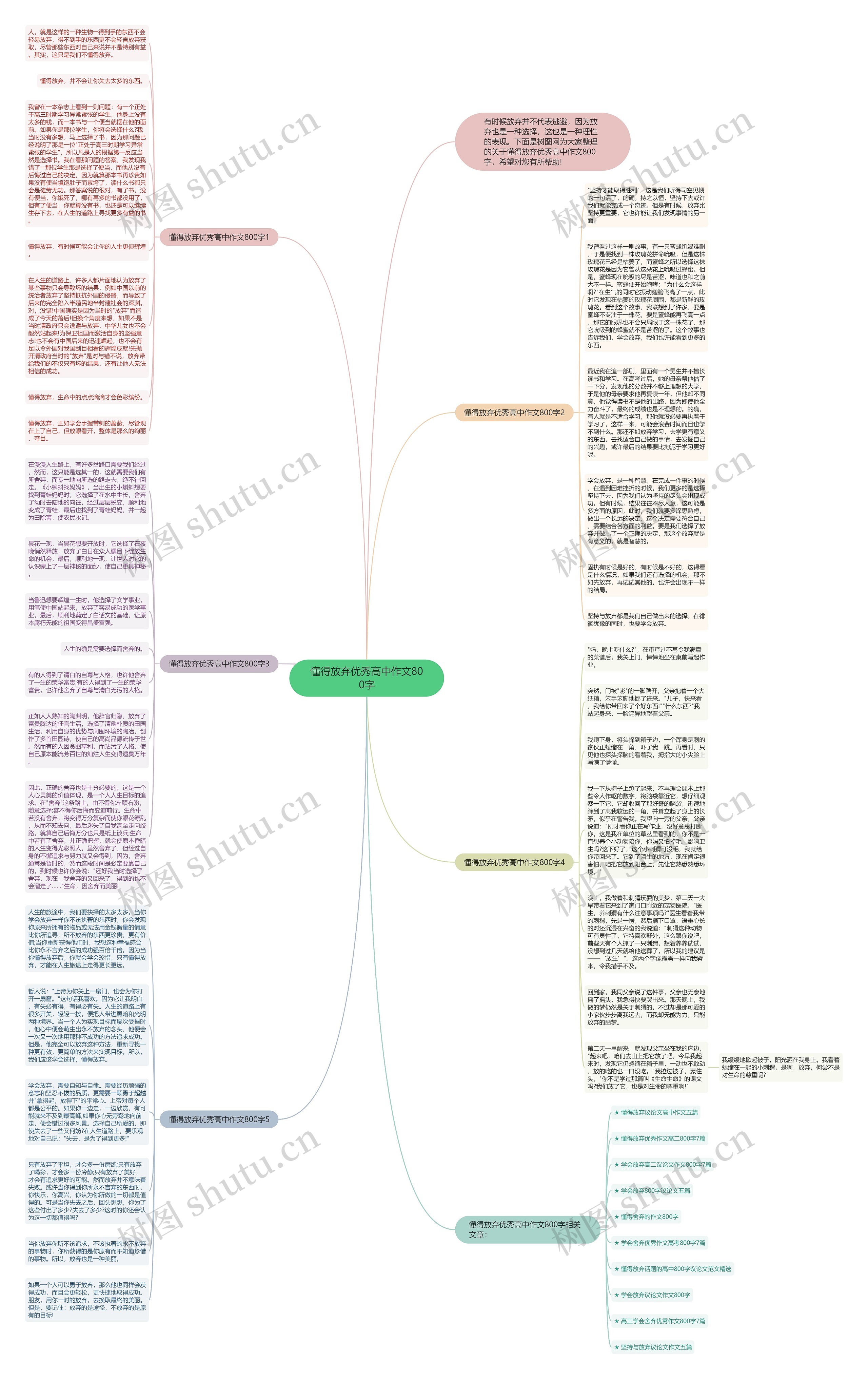 懂得放弃优秀高中作文800字思维导图