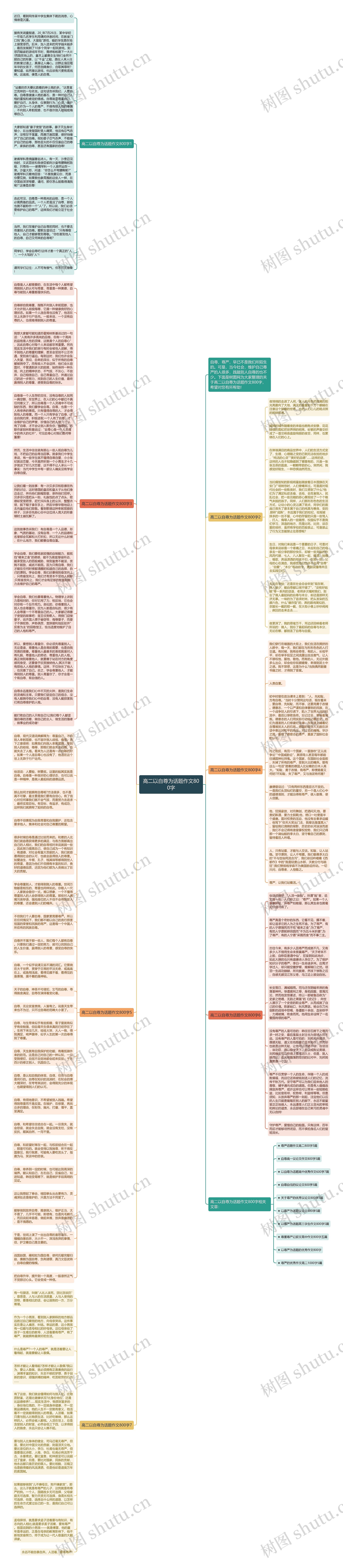 高二以自尊为话题作文800字思维导图