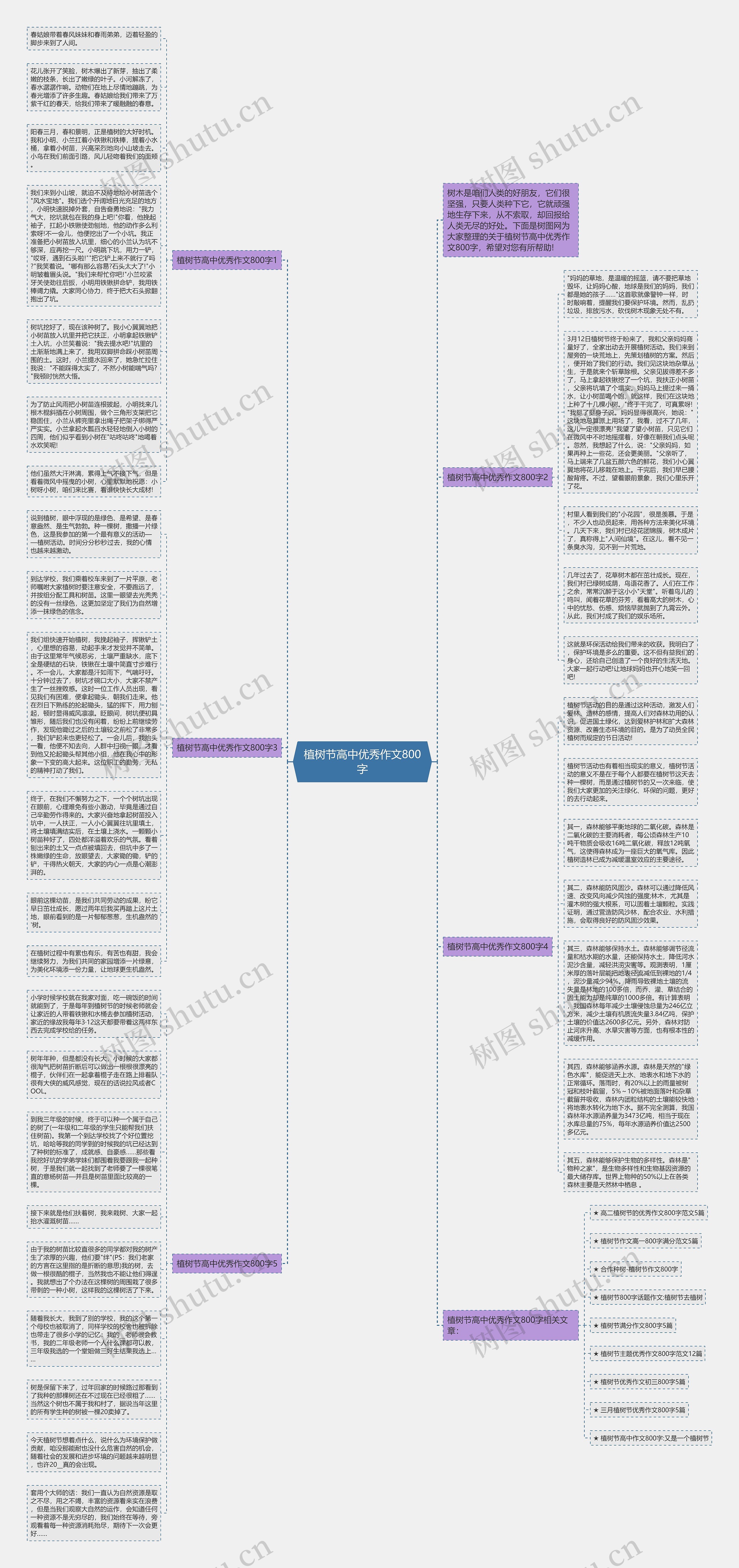 植树节高中优秀作文800字思维导图