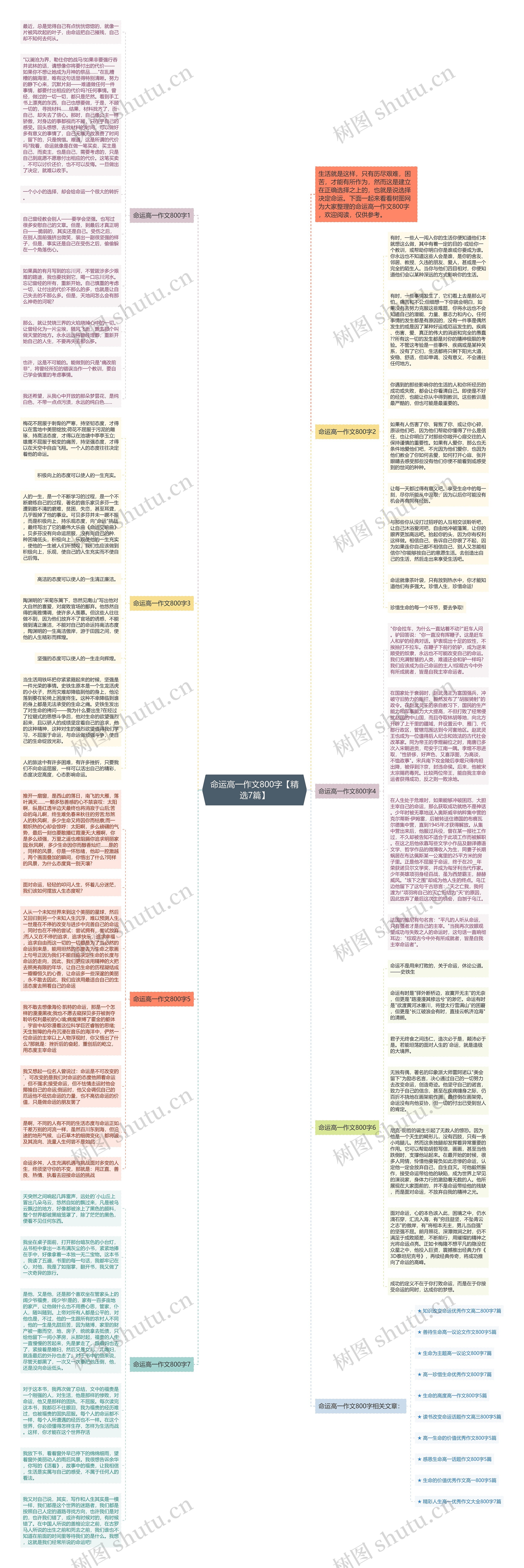 命运高一作文800字【精选7篇】思维导图