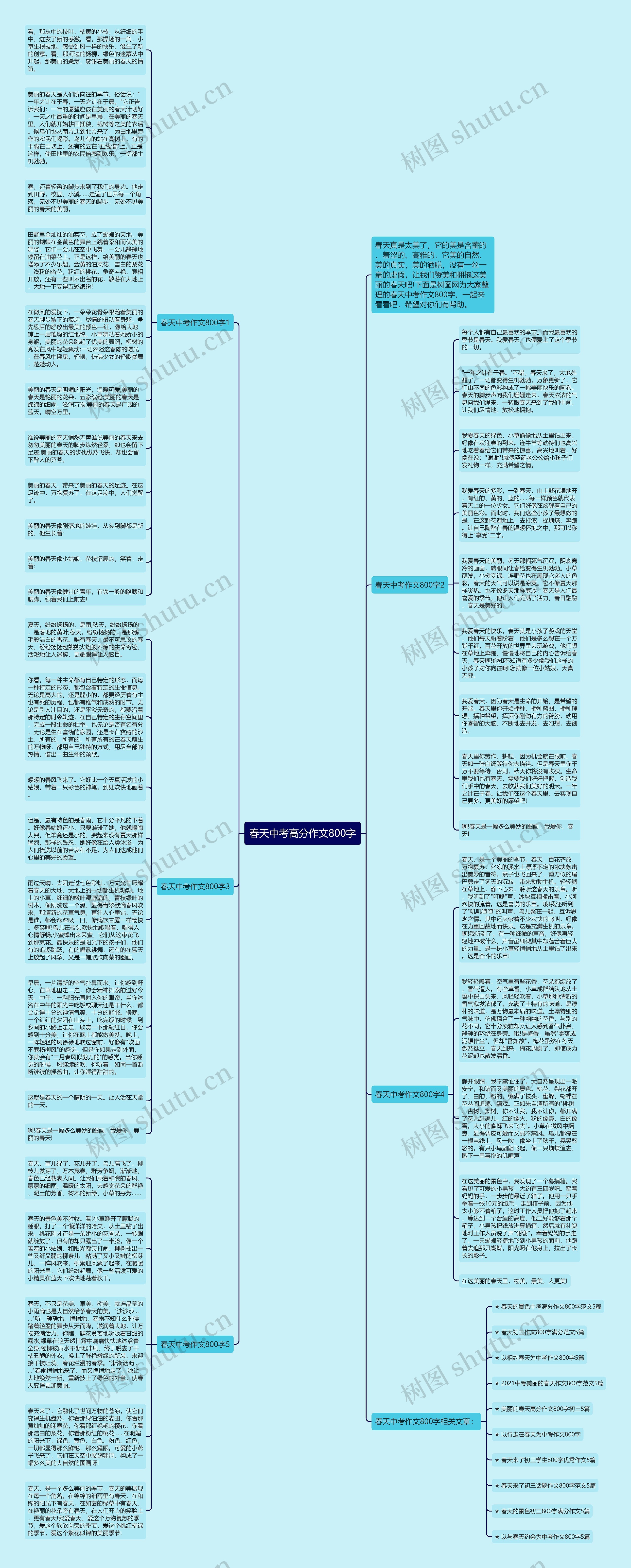 春天中考高分作文800字思维导图