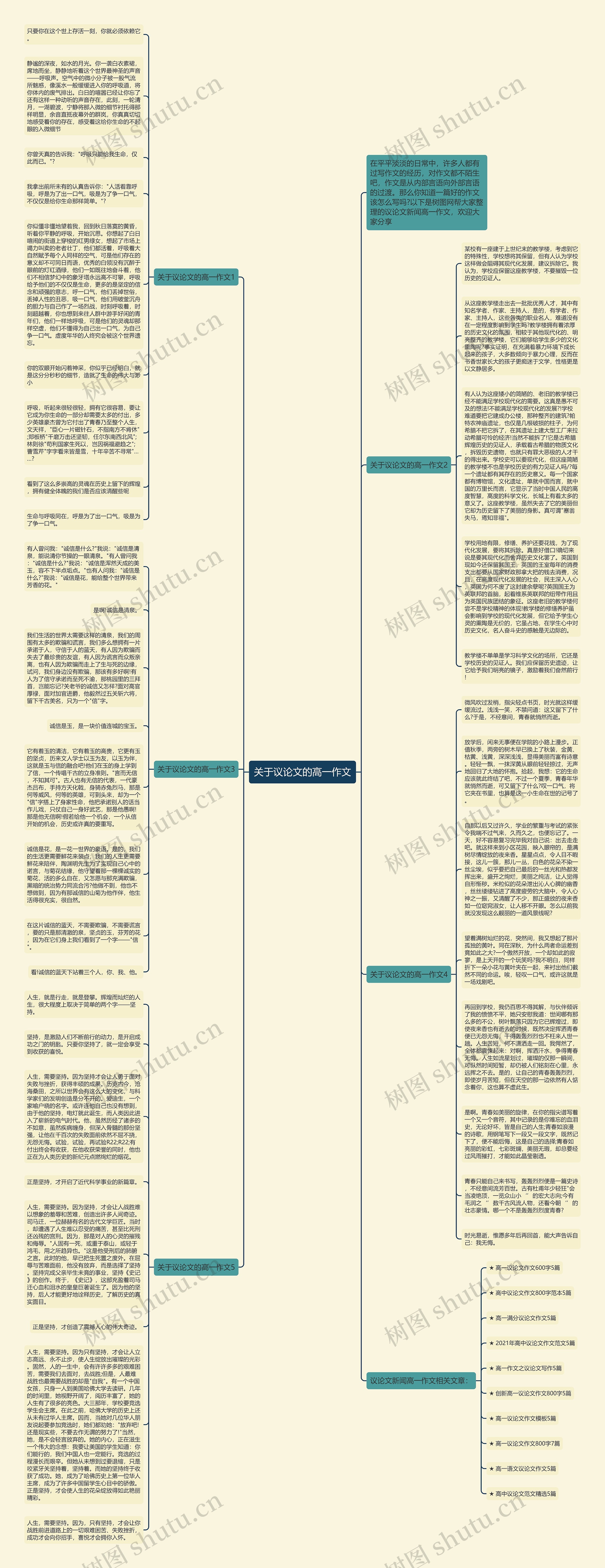 关于议论文的高一作文思维导图