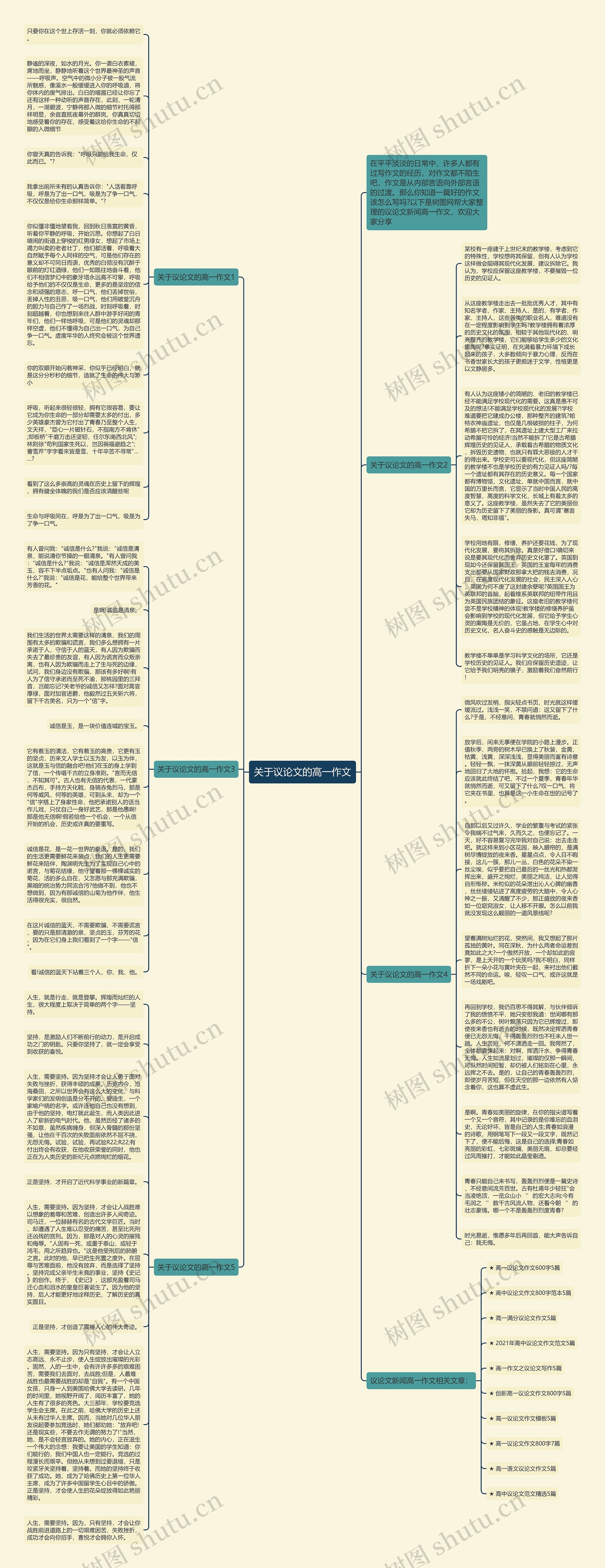 关于议论文的高一作文思维导图高清图 关于议论文的高一作文思维导图