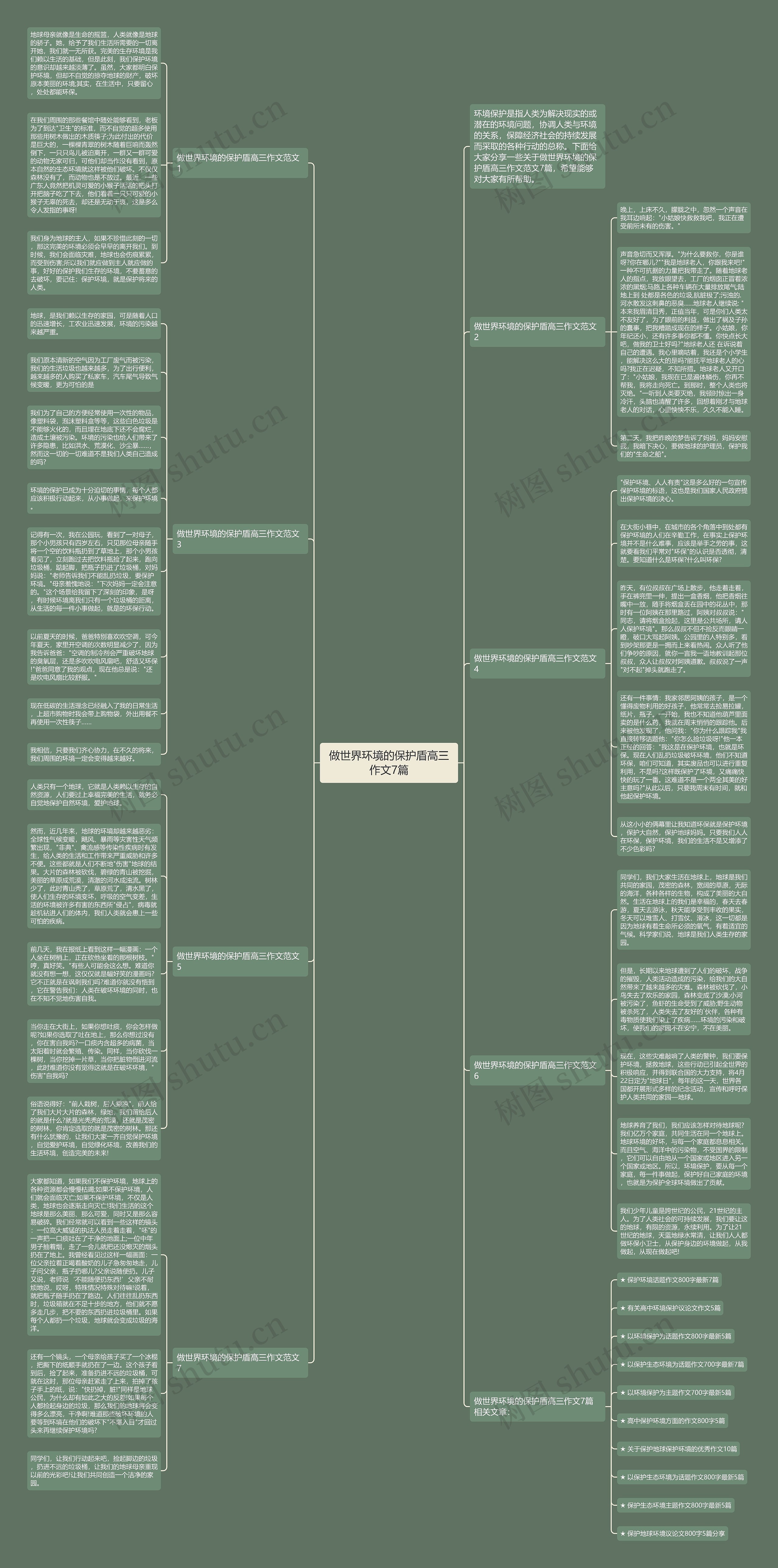 做世界环境的保护盾高三作文7篇思维导图