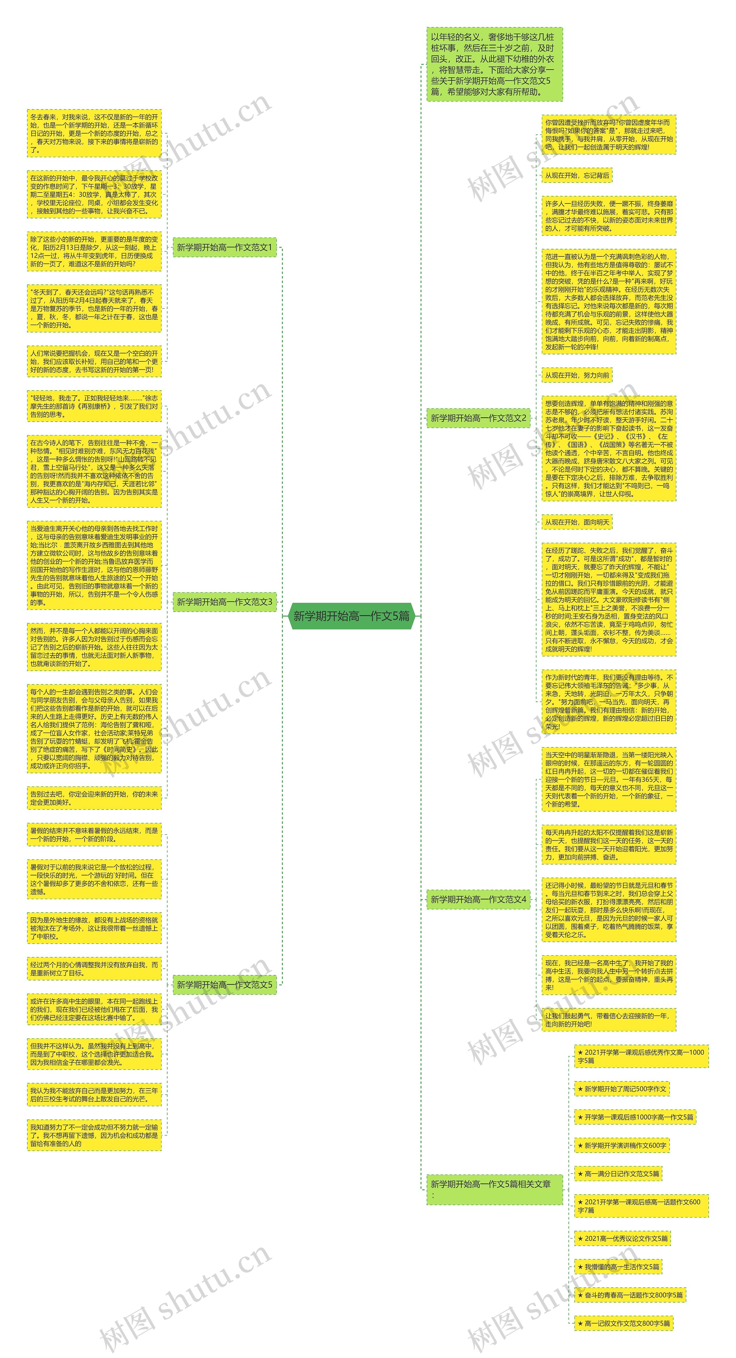 新学期开始高一作文5篇思维导图