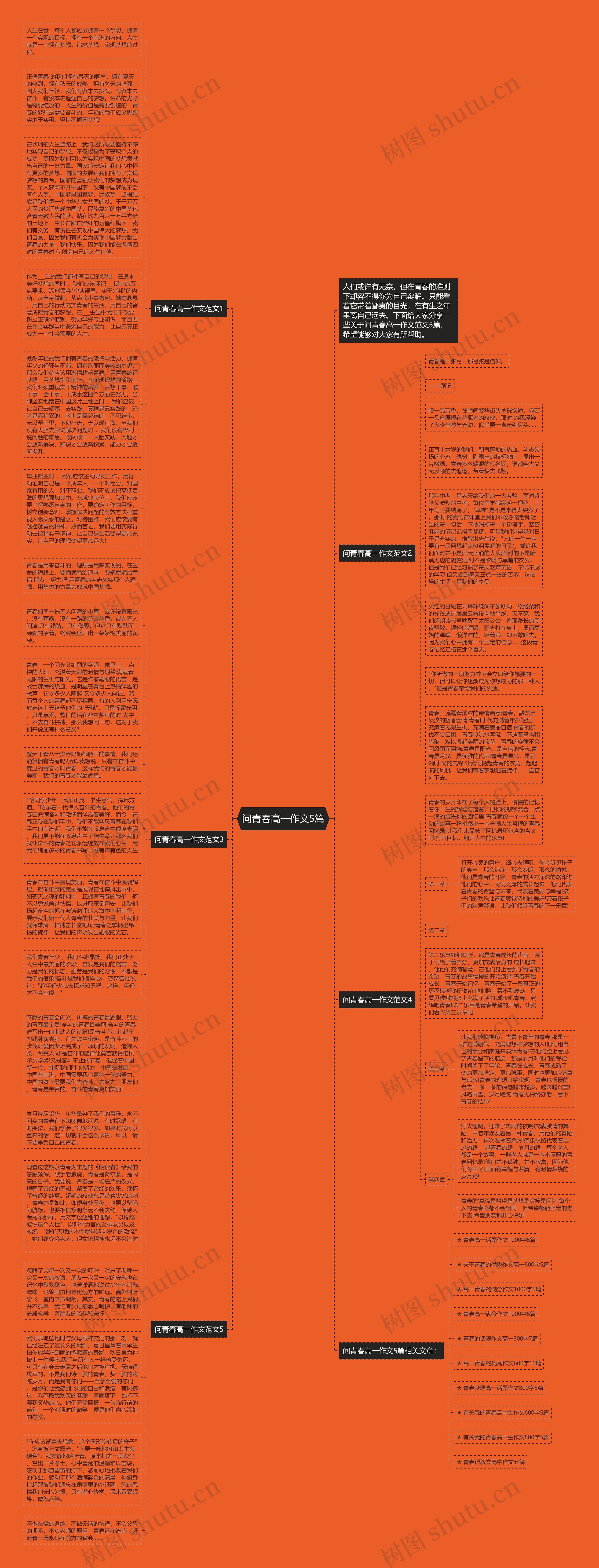 问青春高一作文5篇思维导图