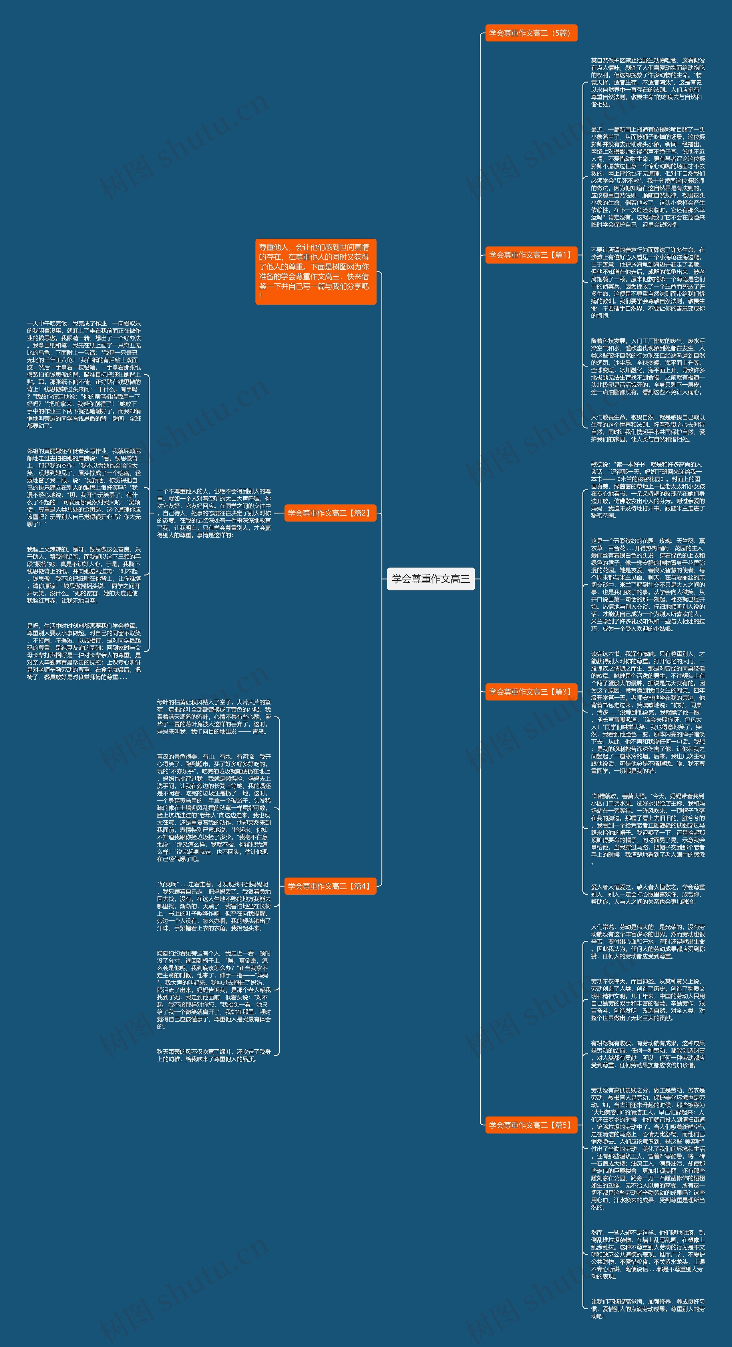 学会尊重作文高三思维导图
