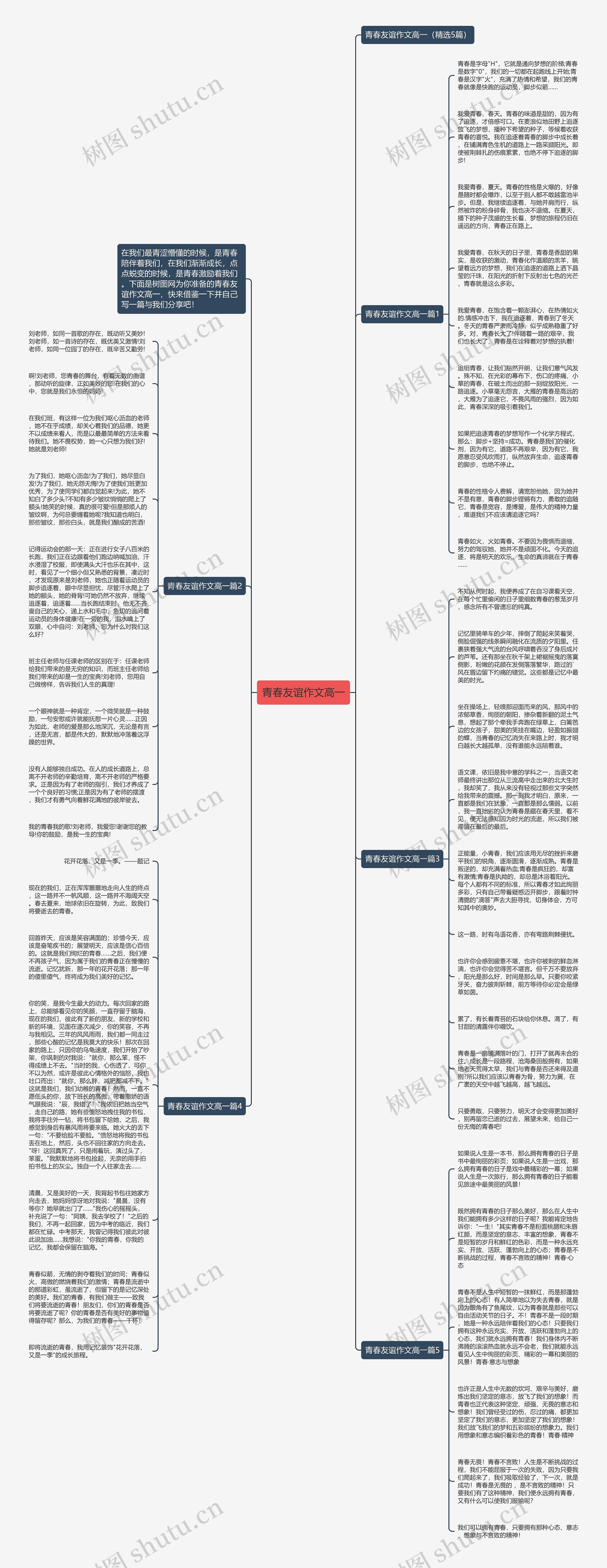 青春友谊作文高一思维导图