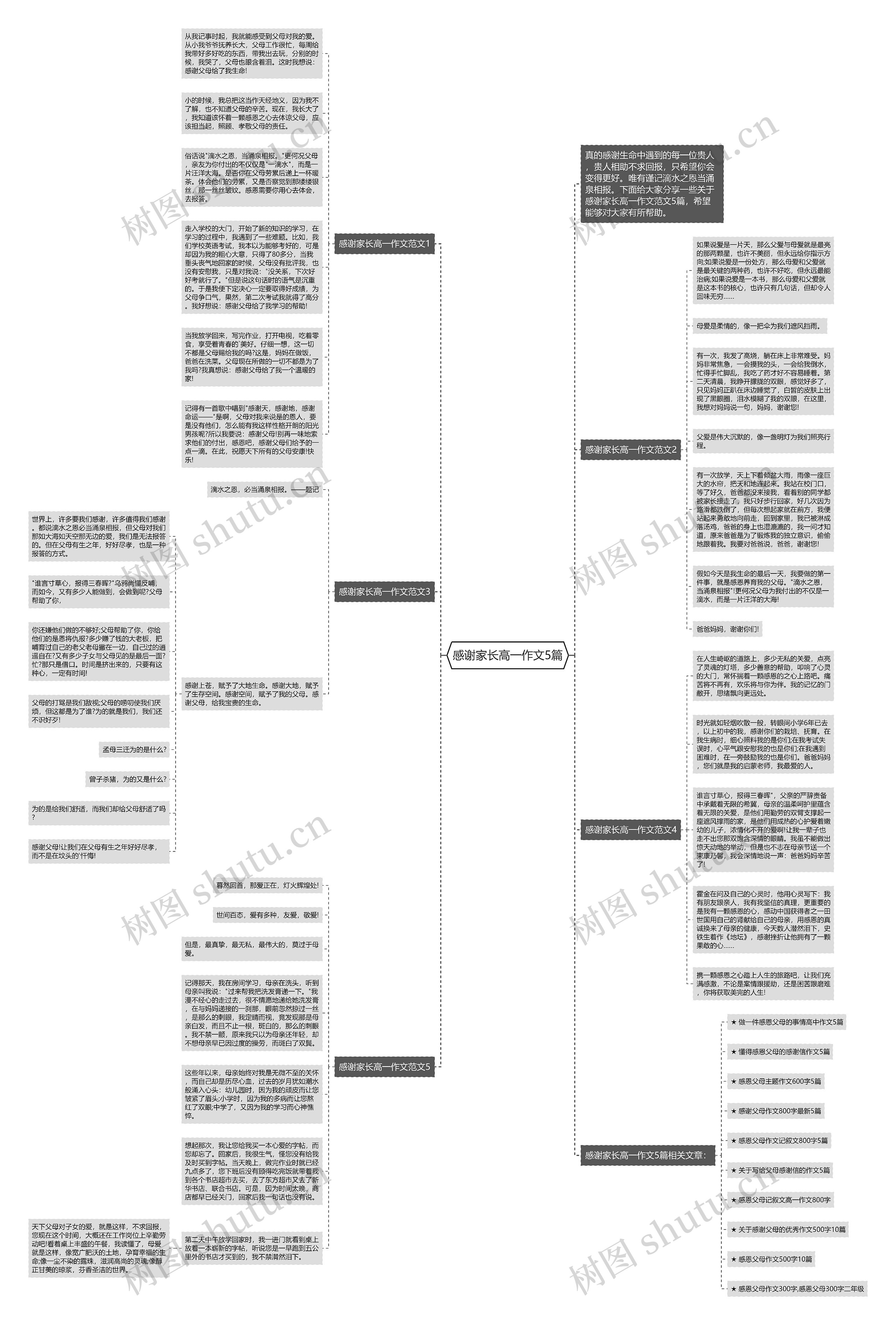 感谢家长高一作文5篇