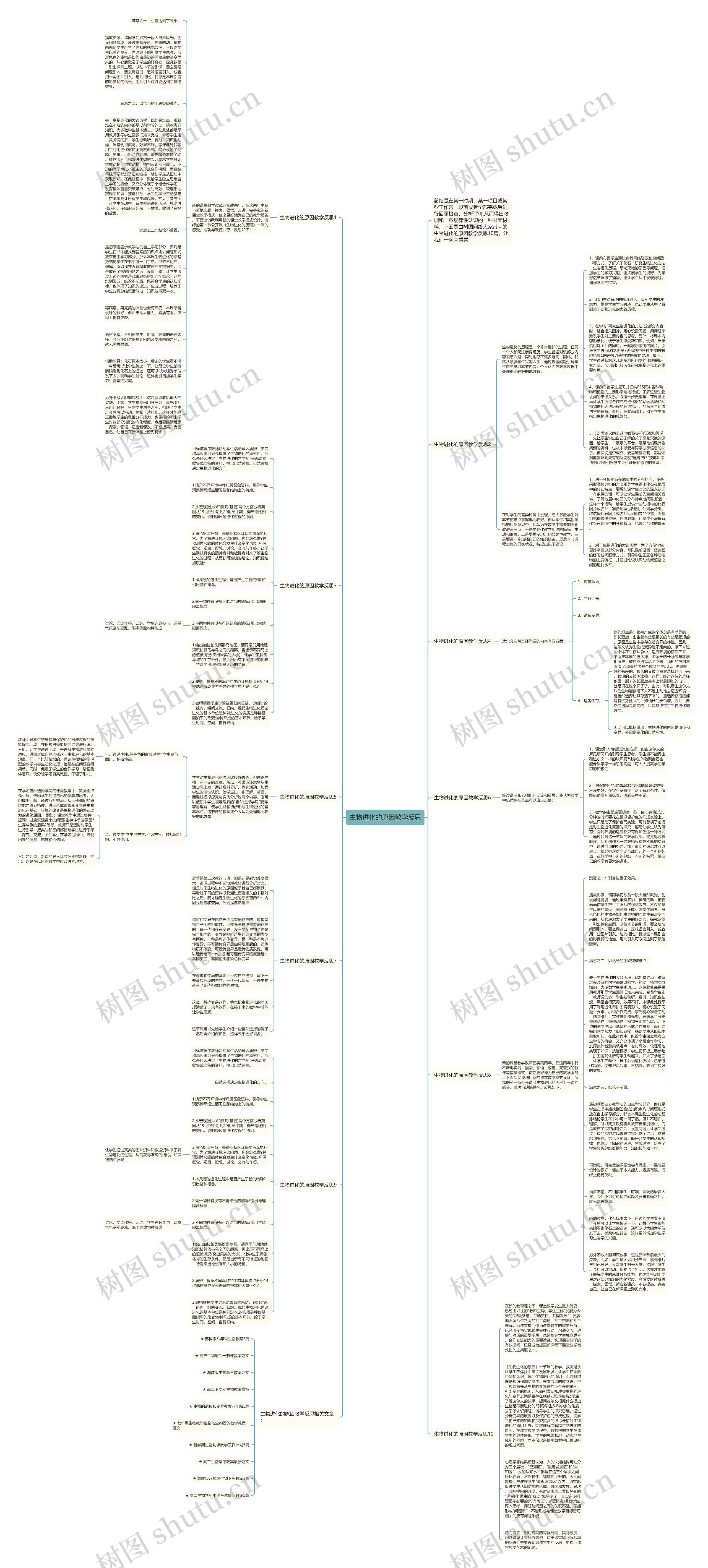 生物进化的原因教学反思思维导图