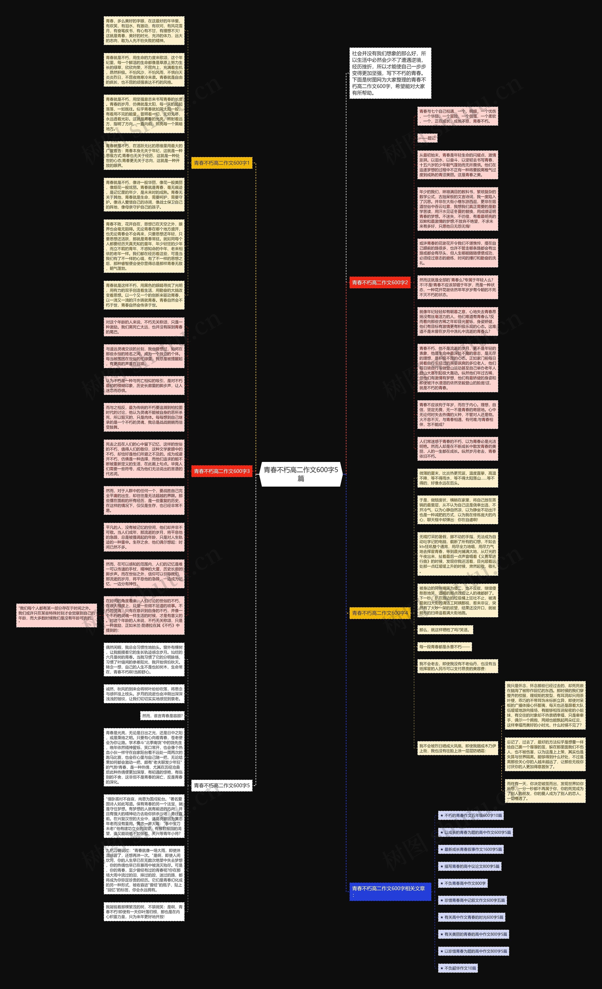 青春不朽高二作文600字5篇