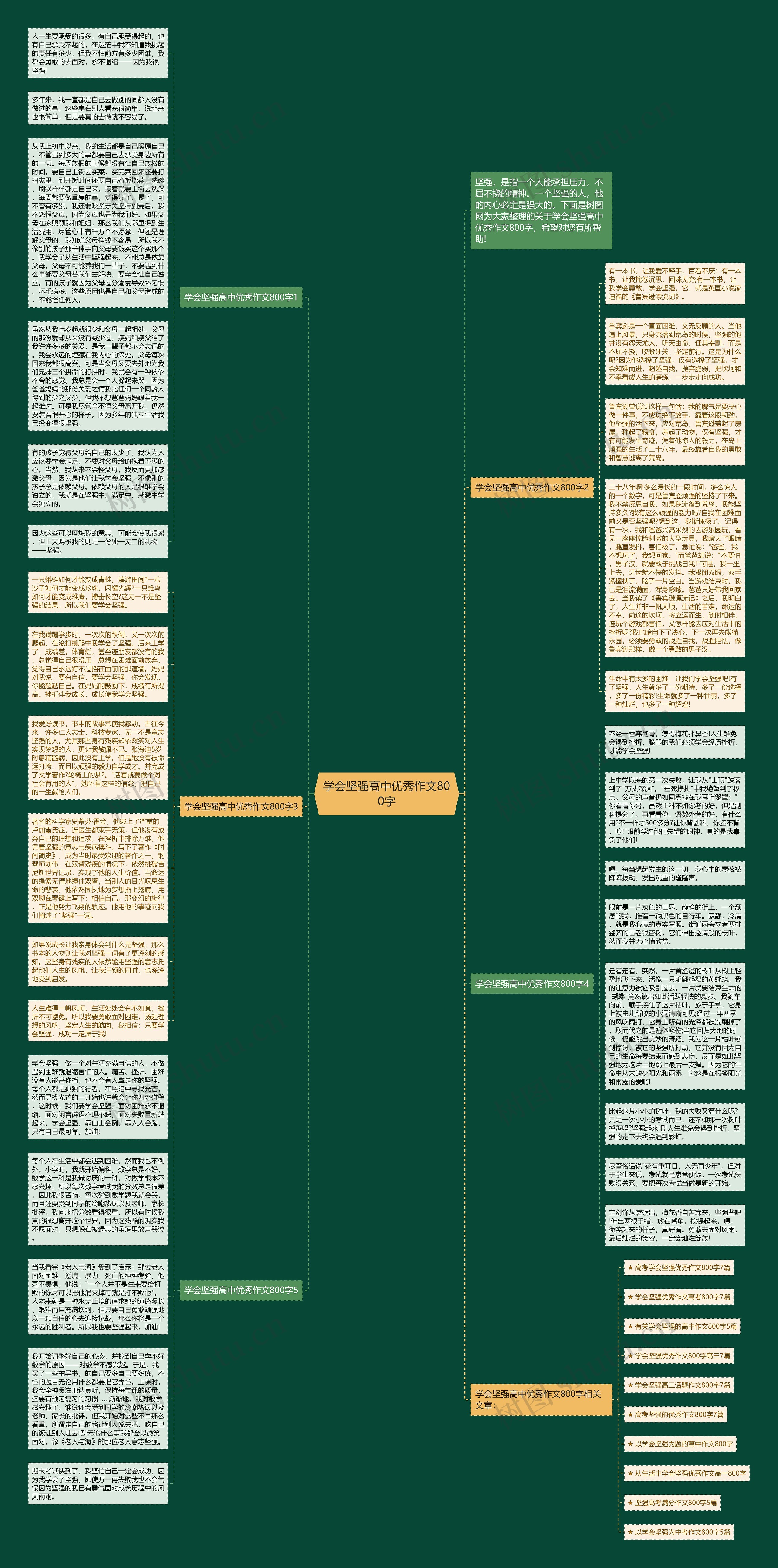 学会坚强高中优秀作文800字思维导图