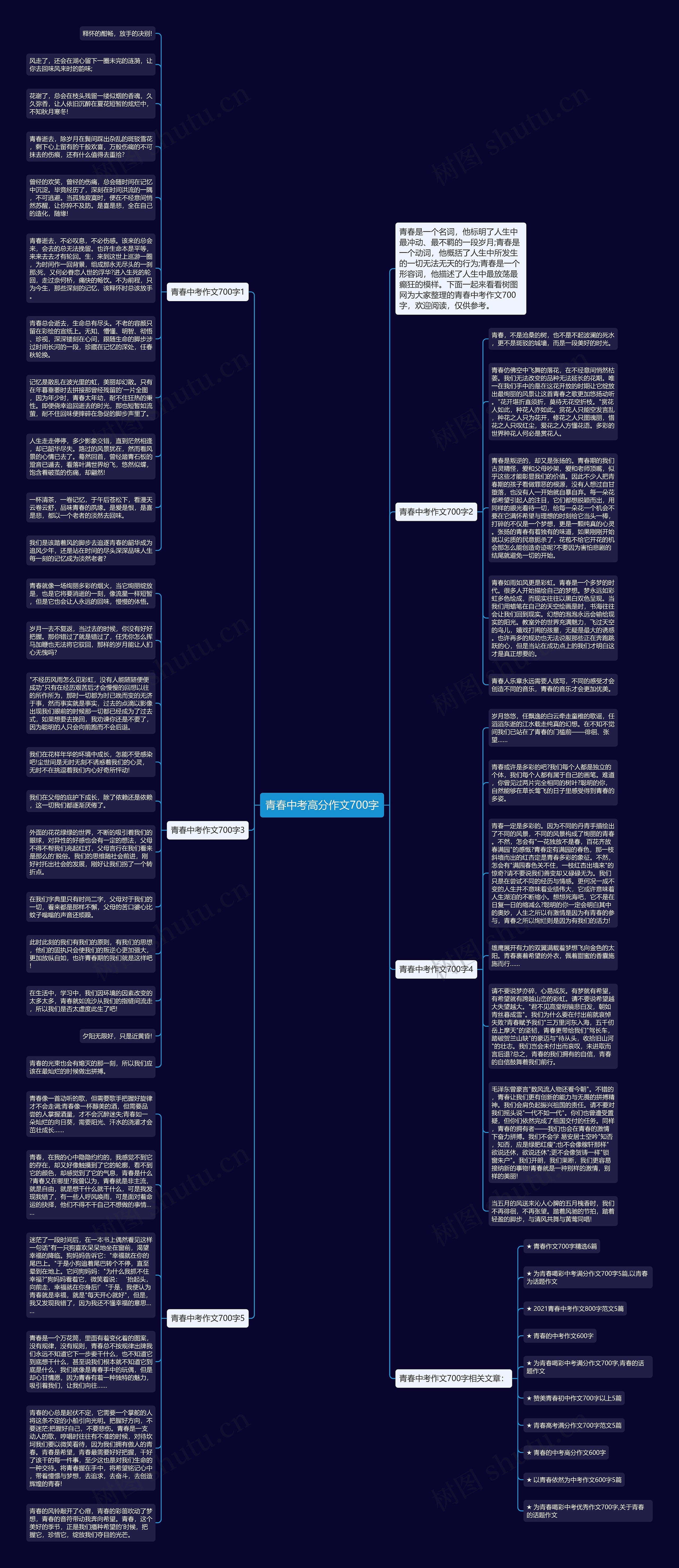 青春中考高分作文700字思维导图