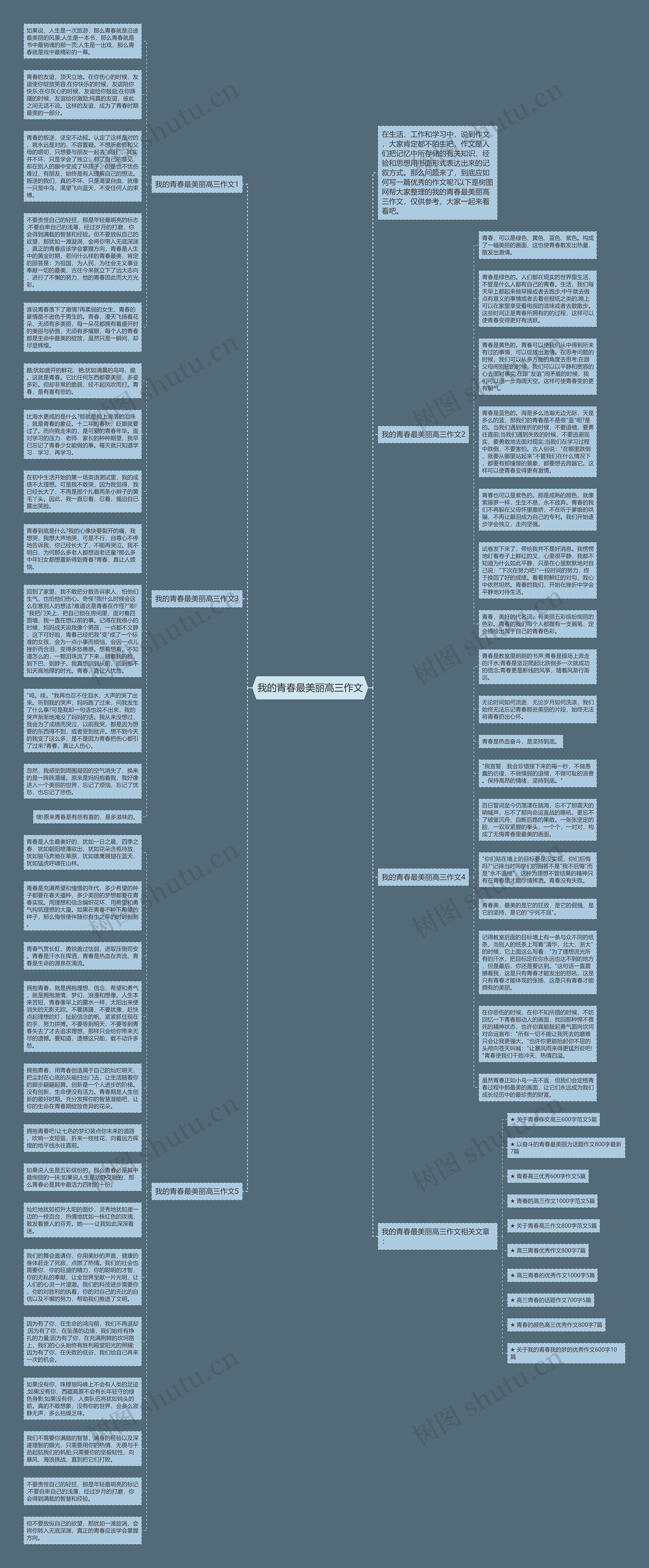 我的青春最美丽高三作文思维导图