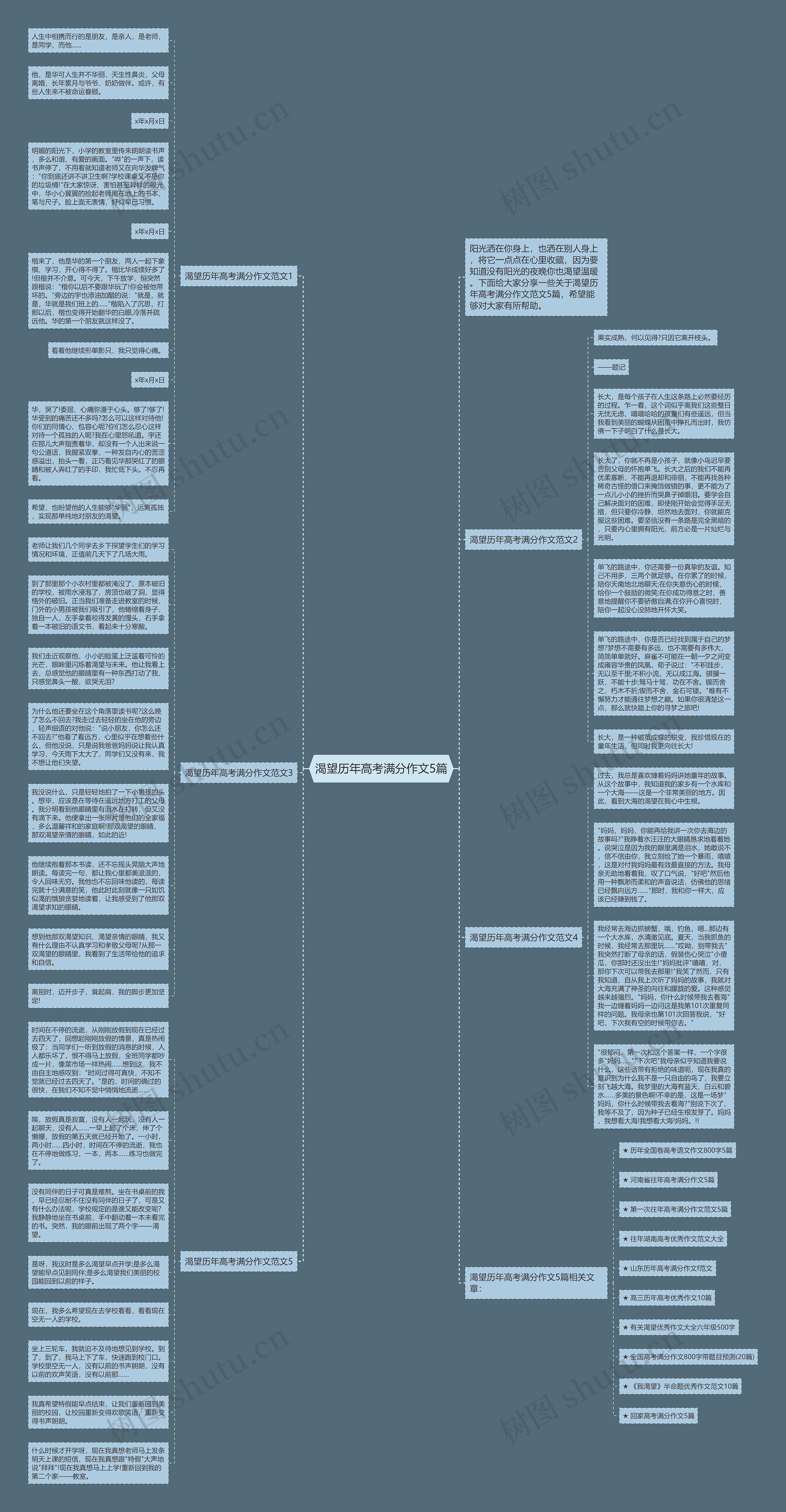 渴望历年高考满分作文5篇思维导图