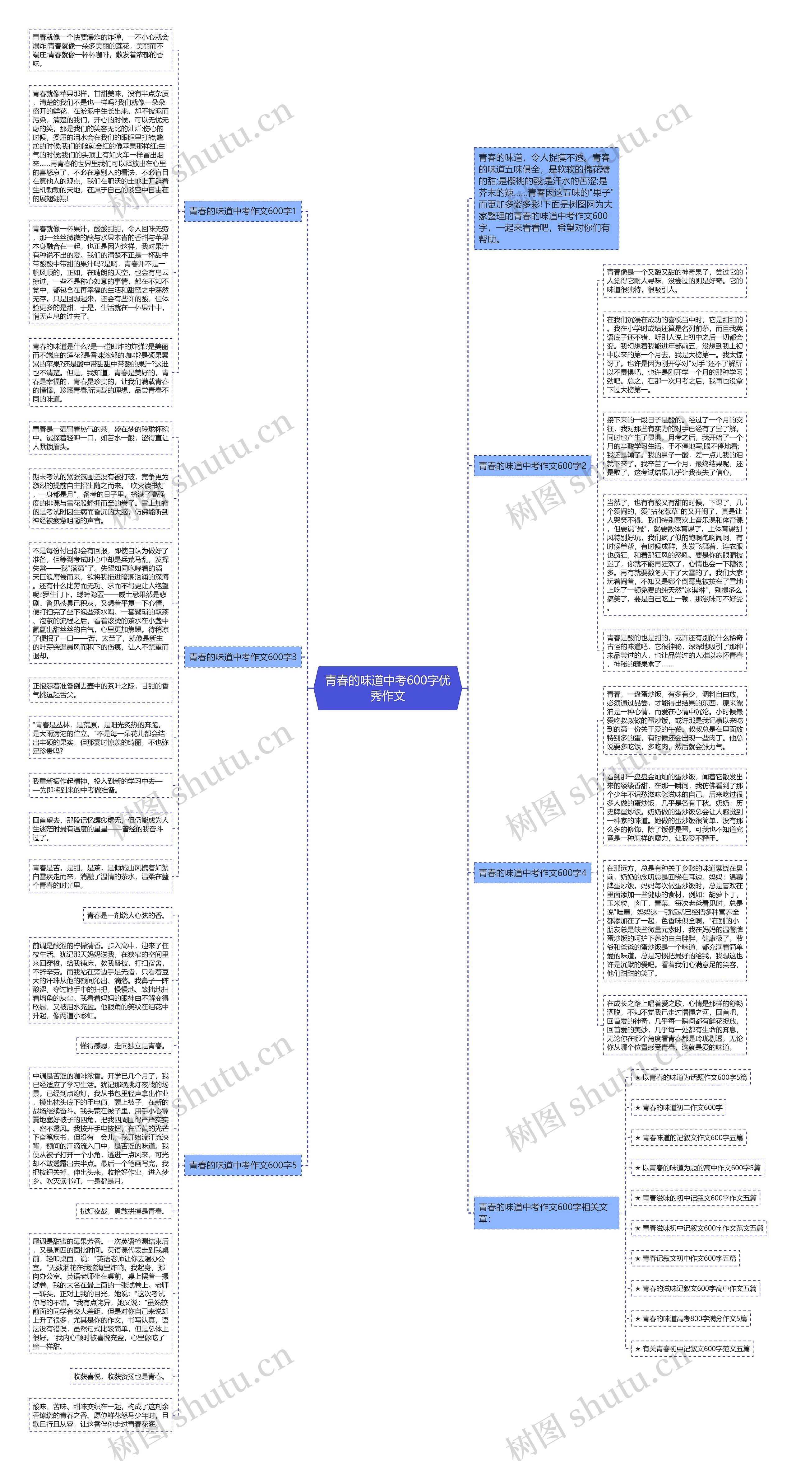 青春的味道中考600字优秀作文思维导图