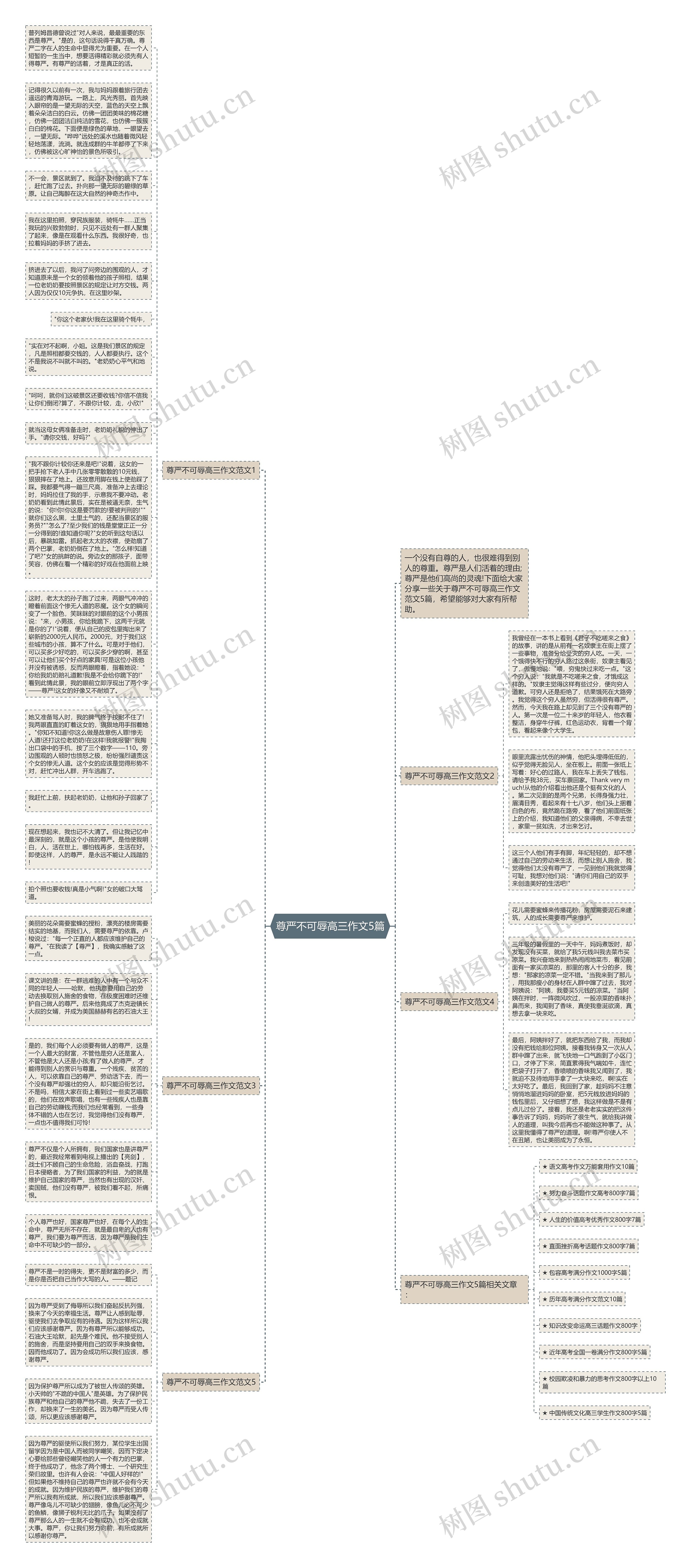 尊严不可辱高三作文5篇思维导图