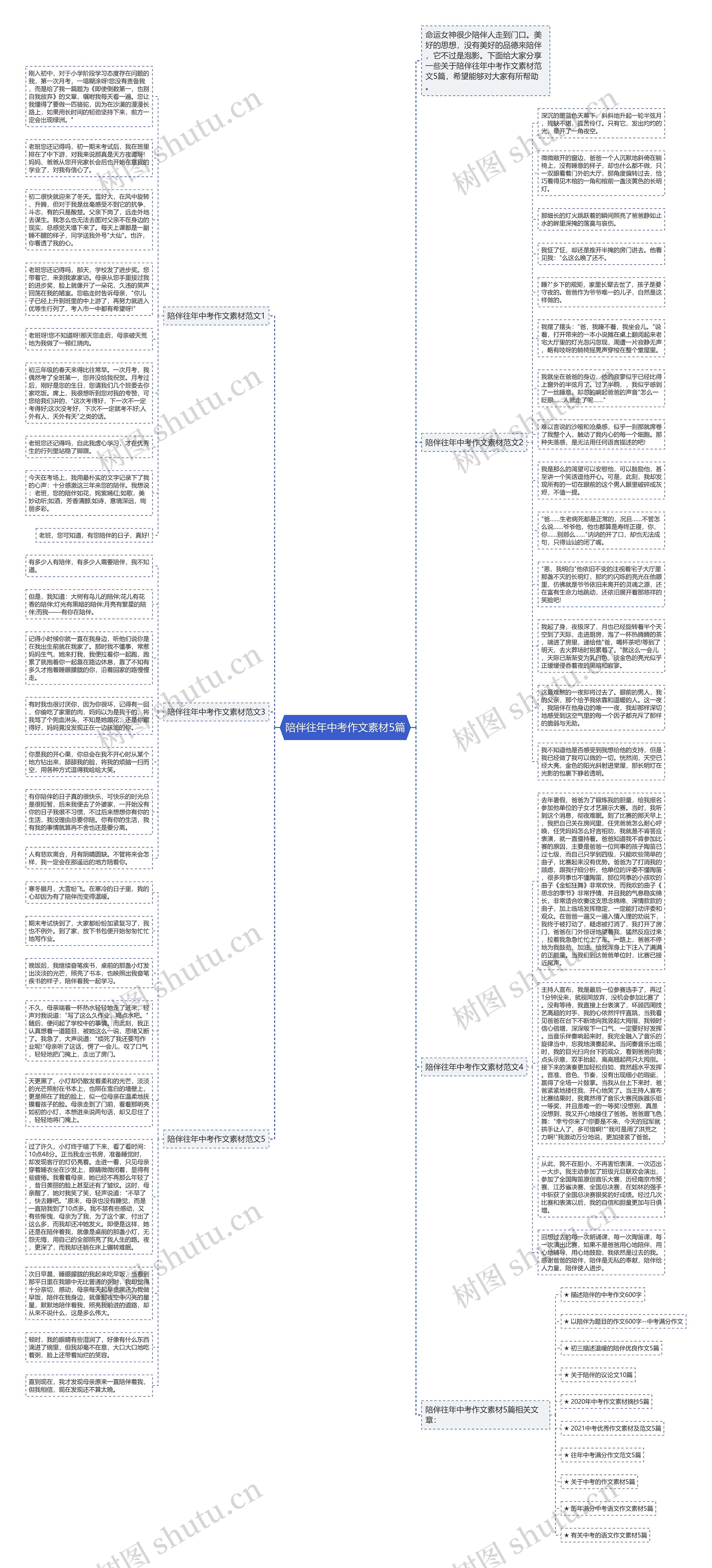 陪伴往年中考作文素材5篇思维导图
