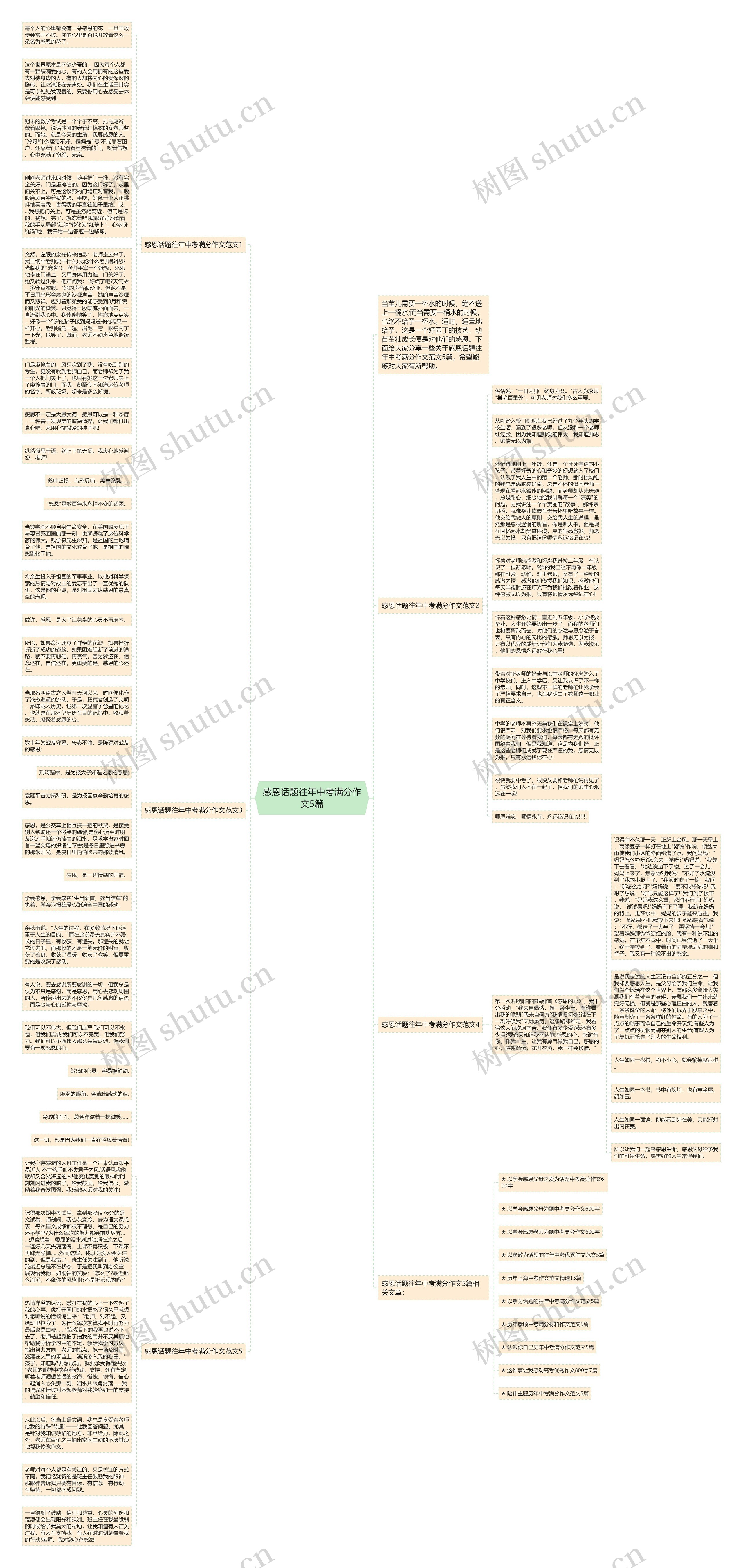 感恩话题往年中考满分作文5篇思维导图