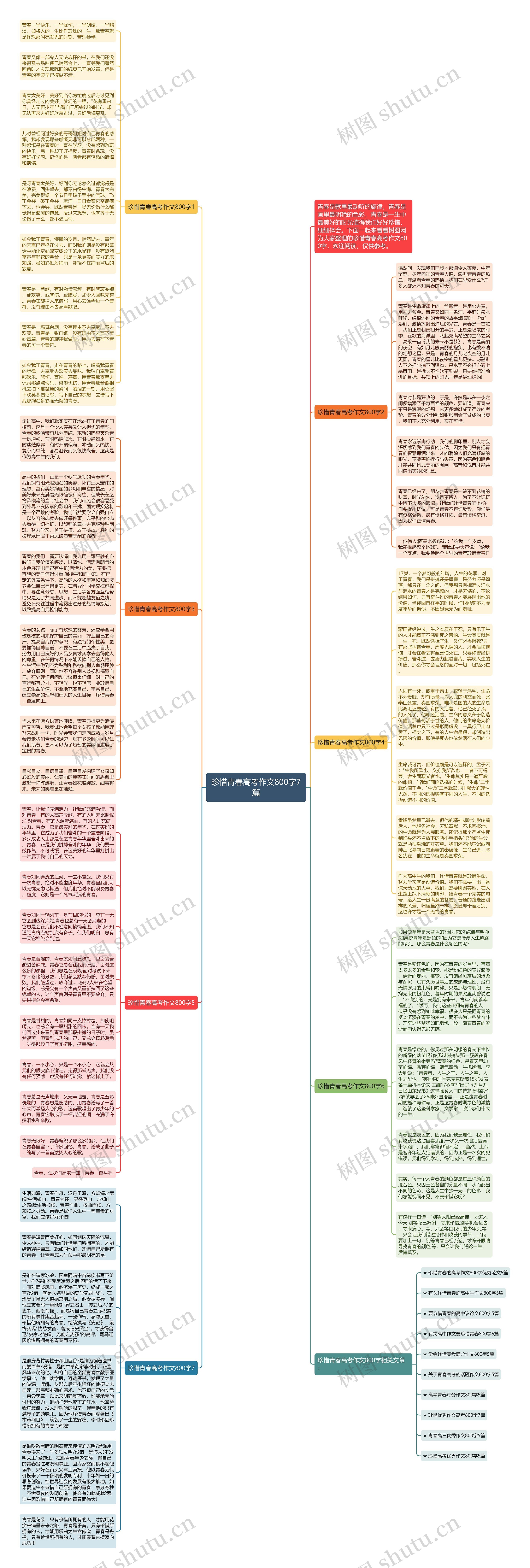 珍惜青春高考作文800字7篇思维导图