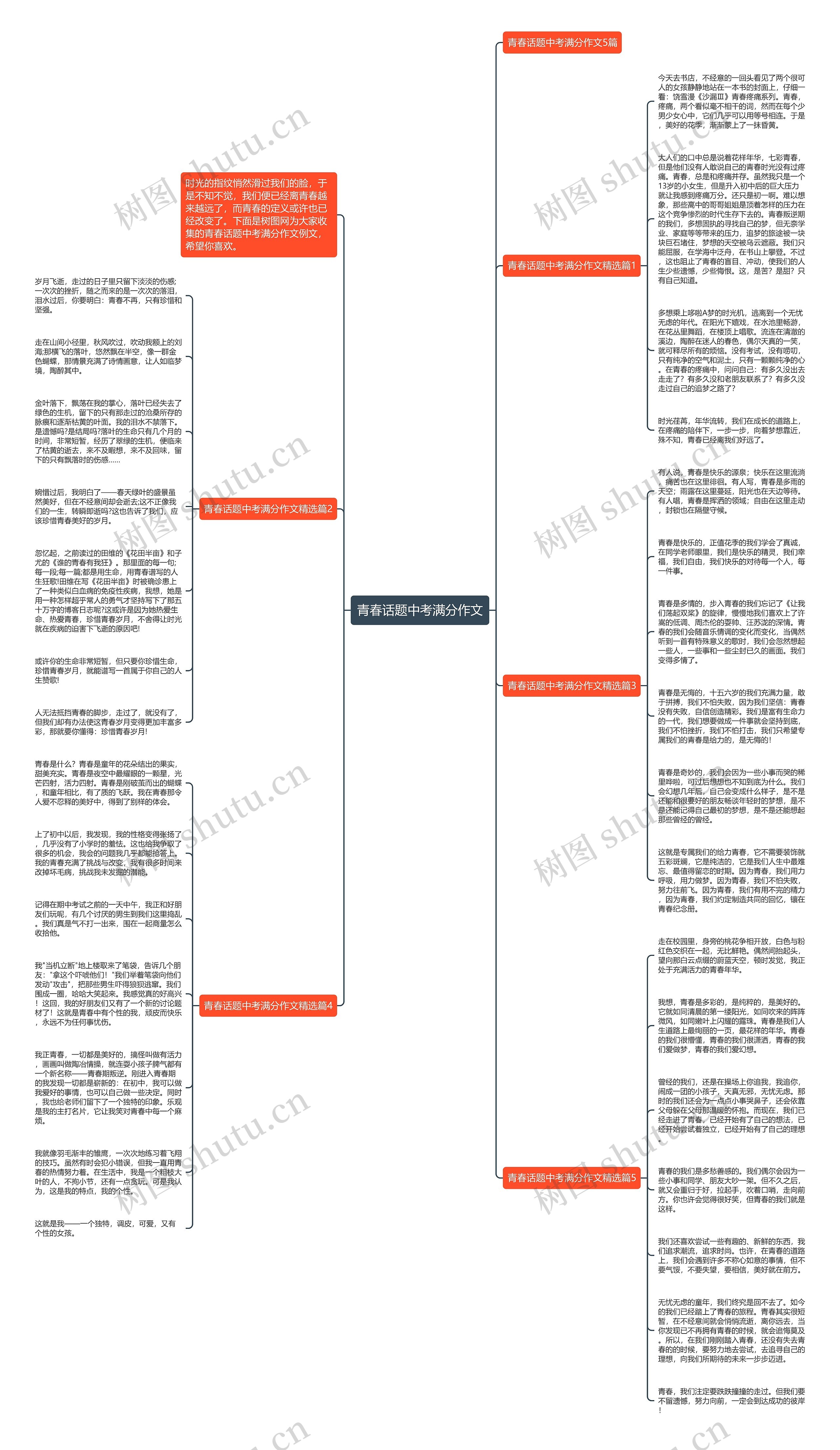 青春话题中考满分作文思维导图