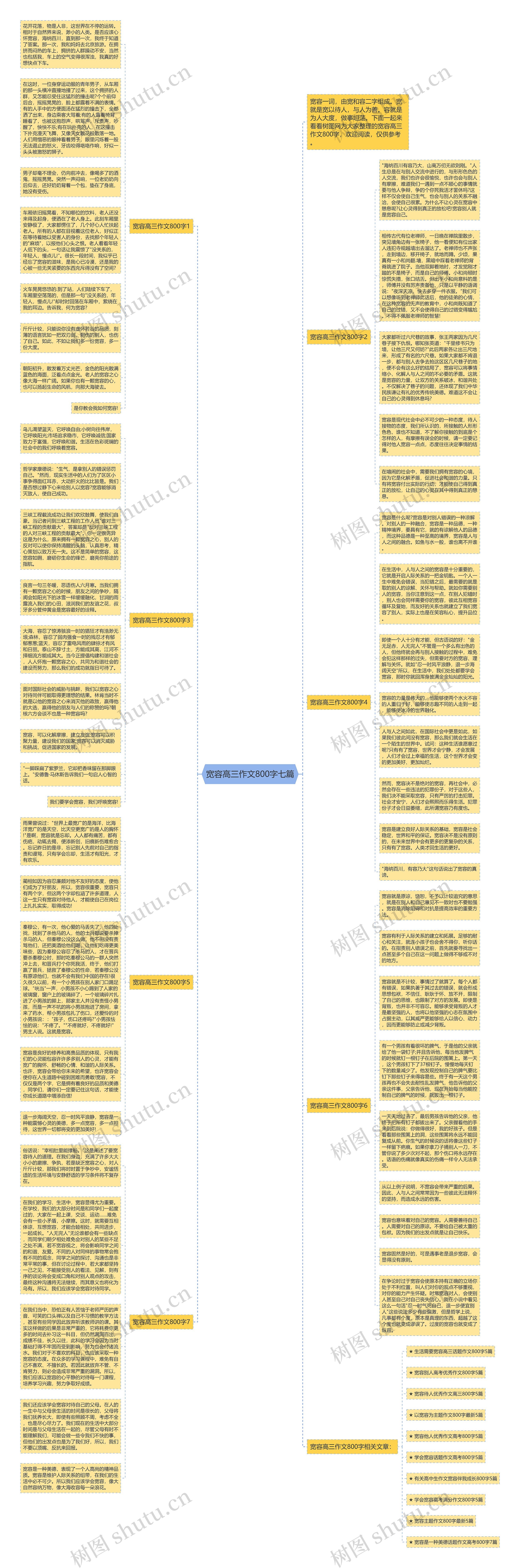 宽容高三作文800字七篇思维导图