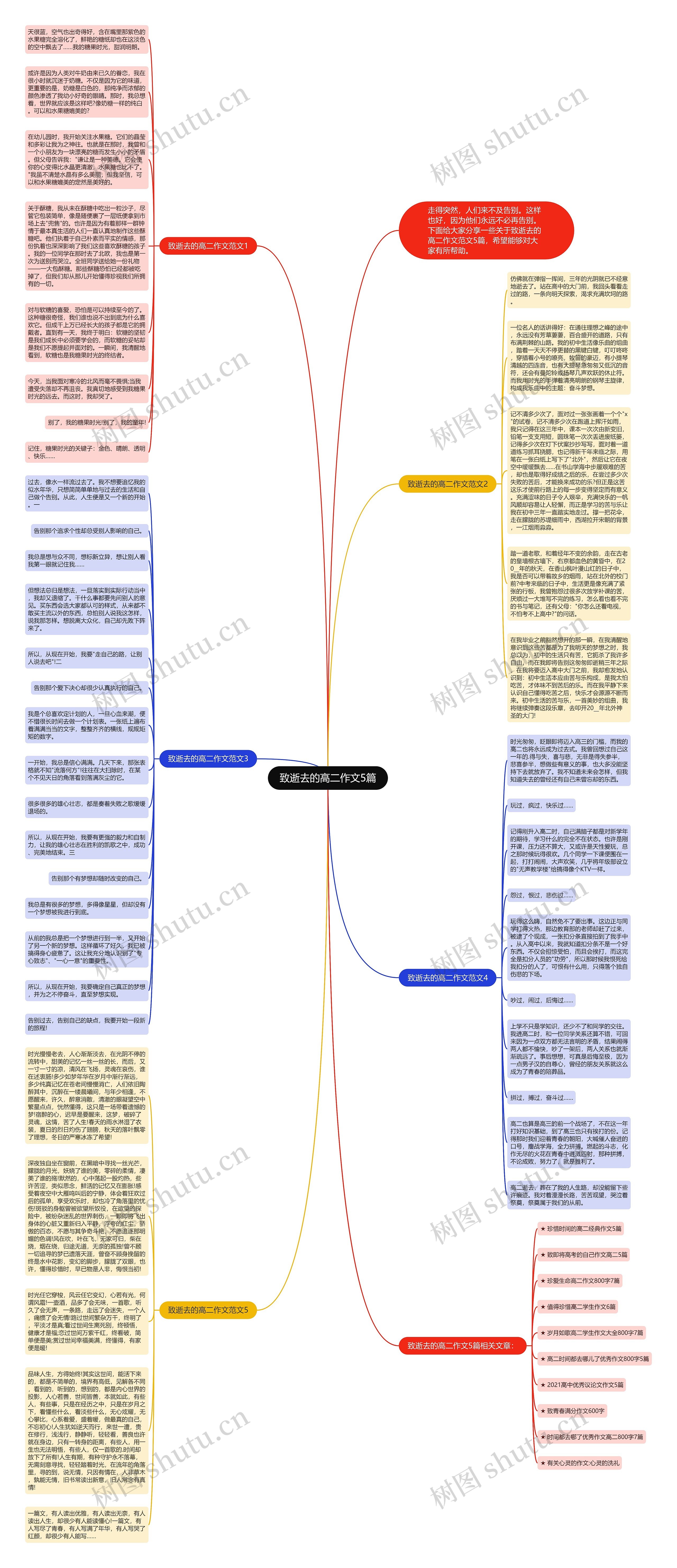 致逝去的高二作文5篇思维导图