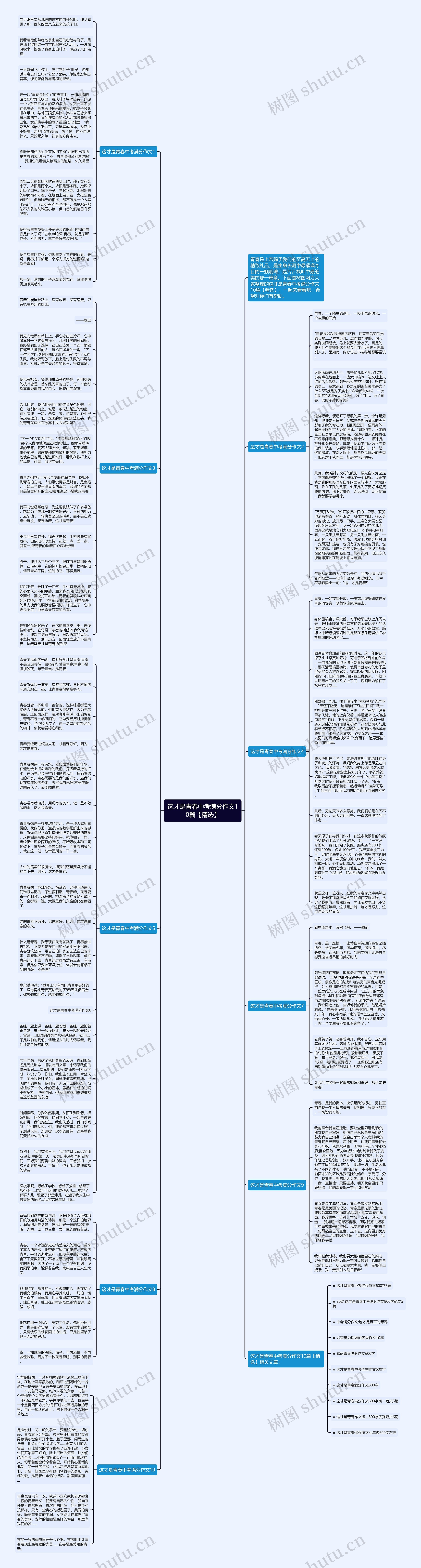这才是青春中考满分作文10篇【精选】思维导图