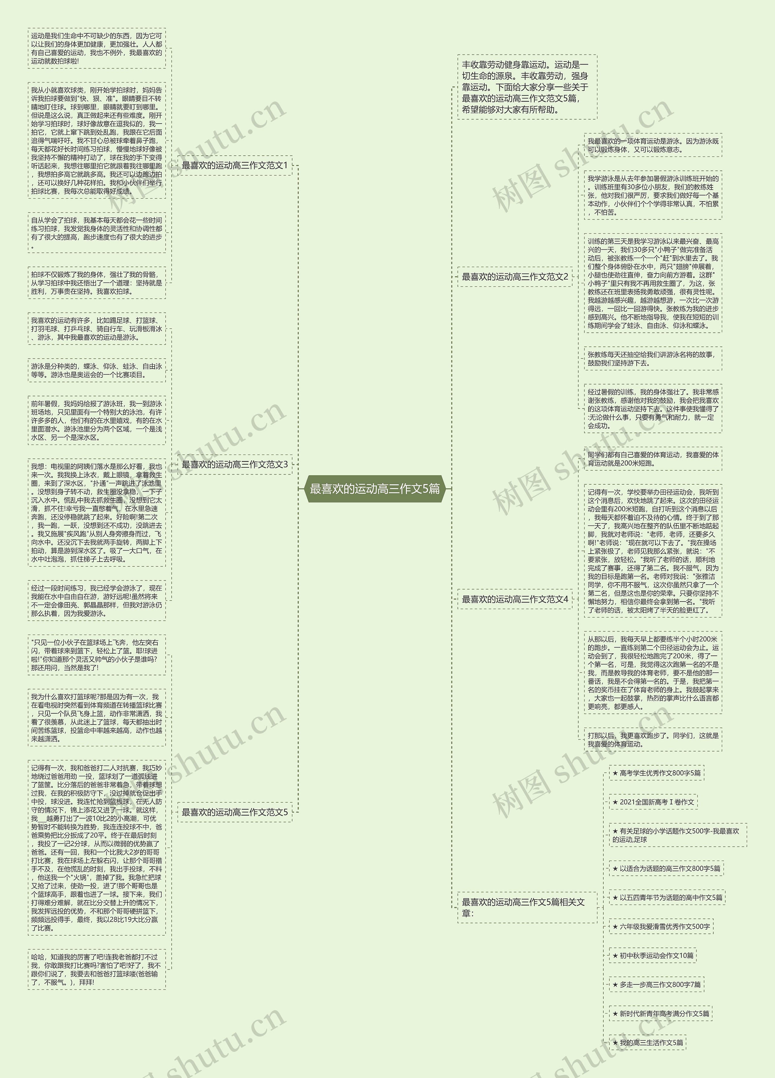 最喜欢的运动高三作文5篇