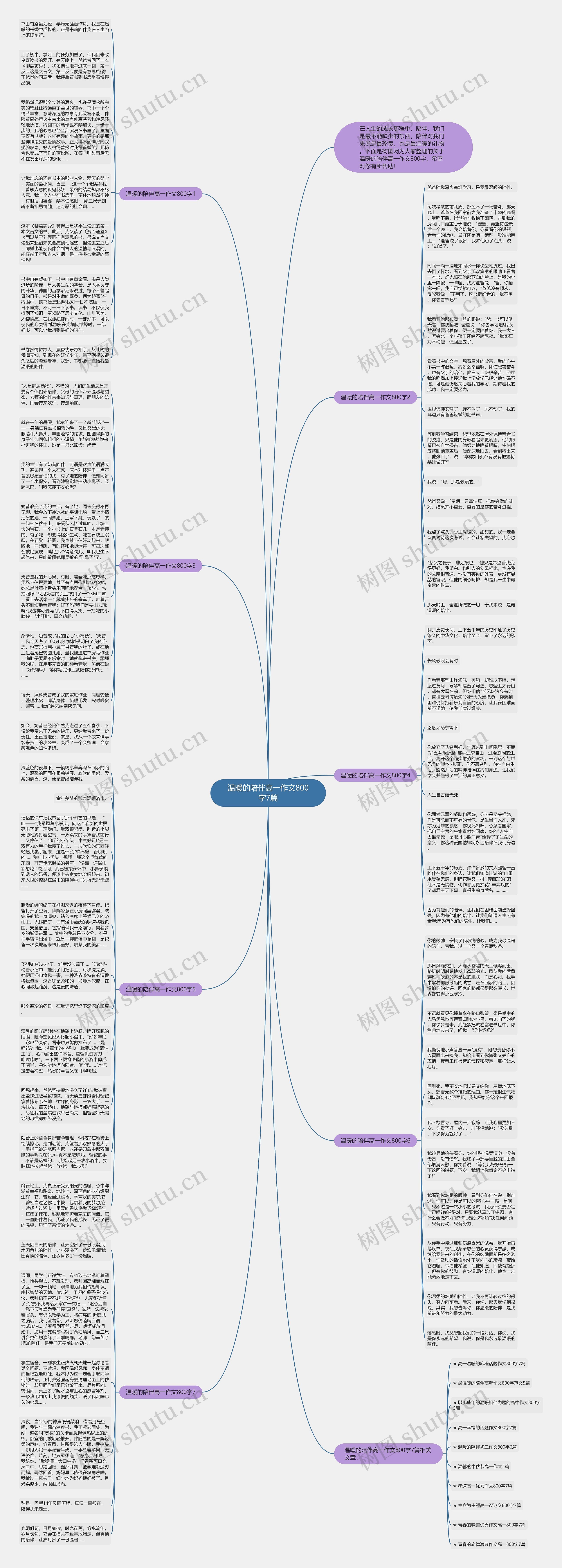 温暖的陪伴高一作文800字7篇思维导图