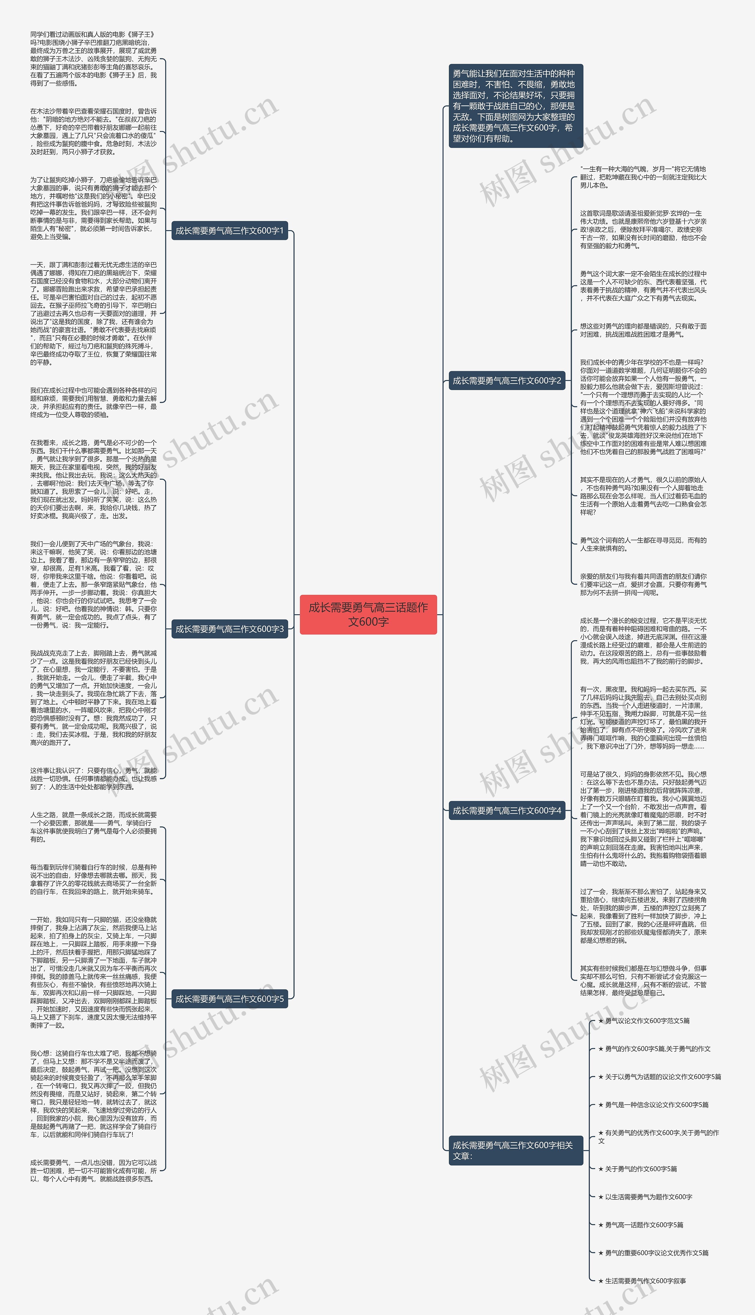 成长需要勇气高三话题作文600字思维导图