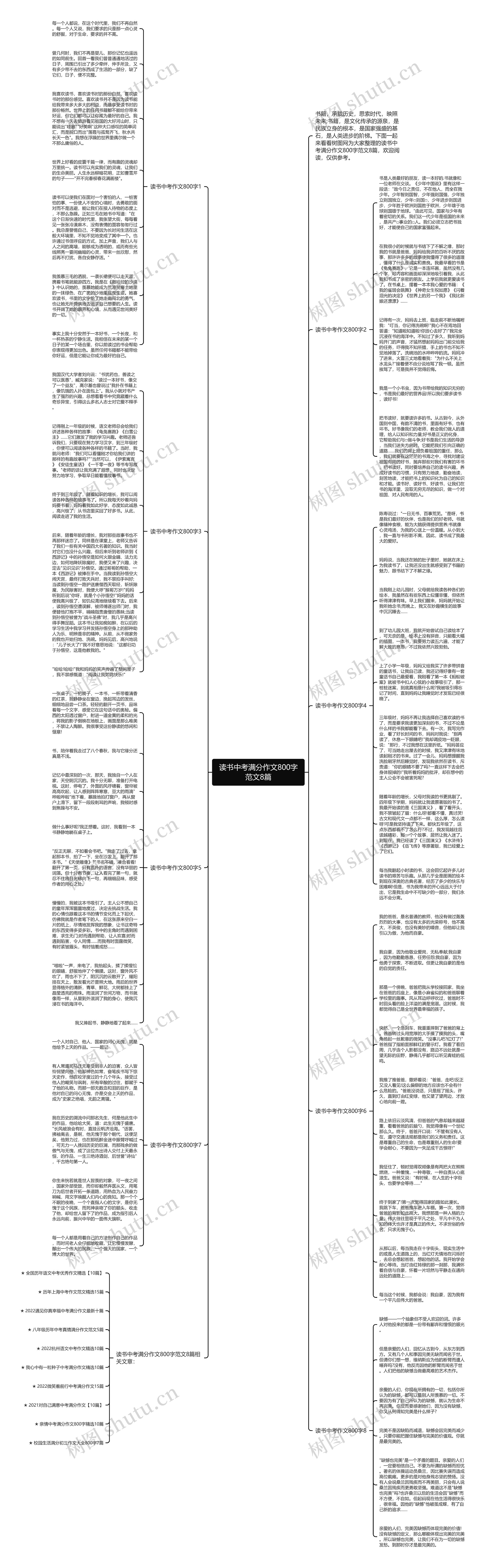 读书中考满分作文800字范文8篇思维导图