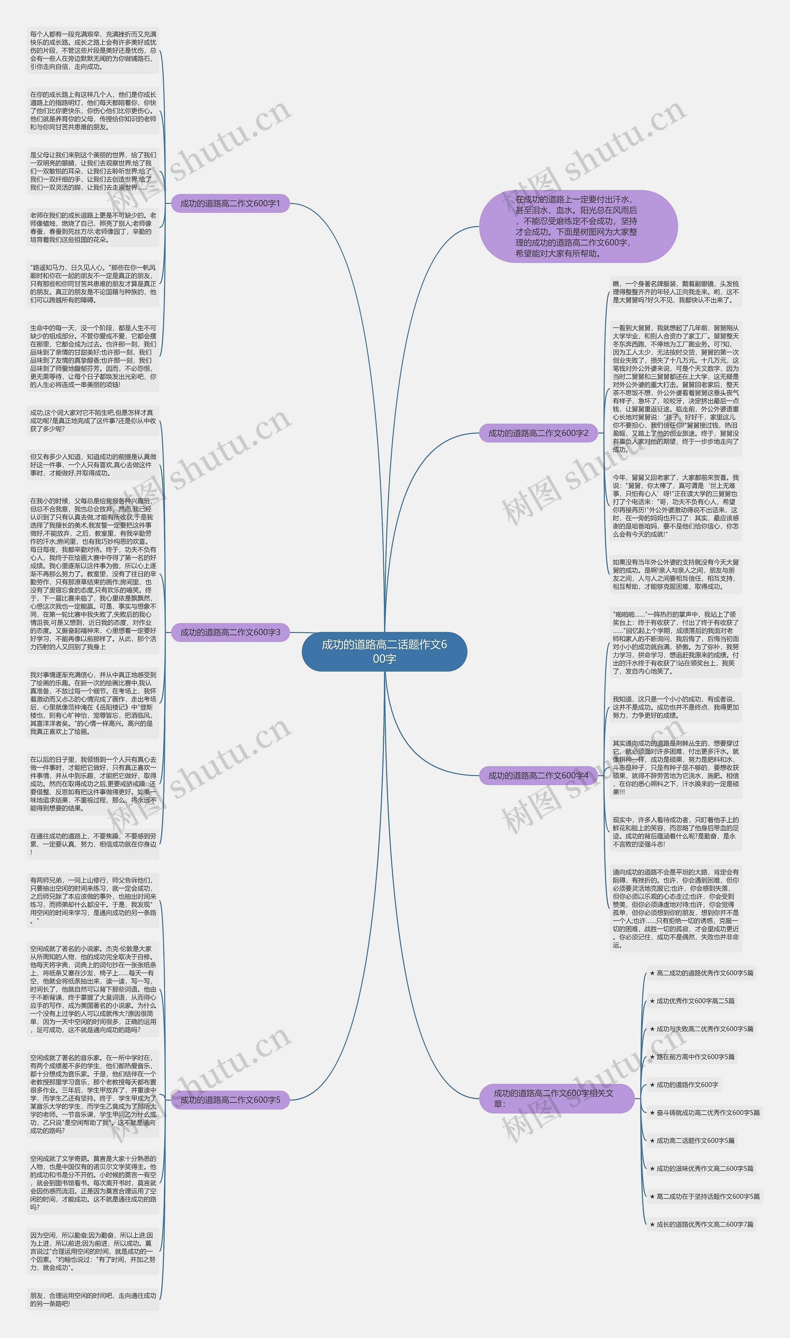 成功的道路高二话题作文600字思维导图