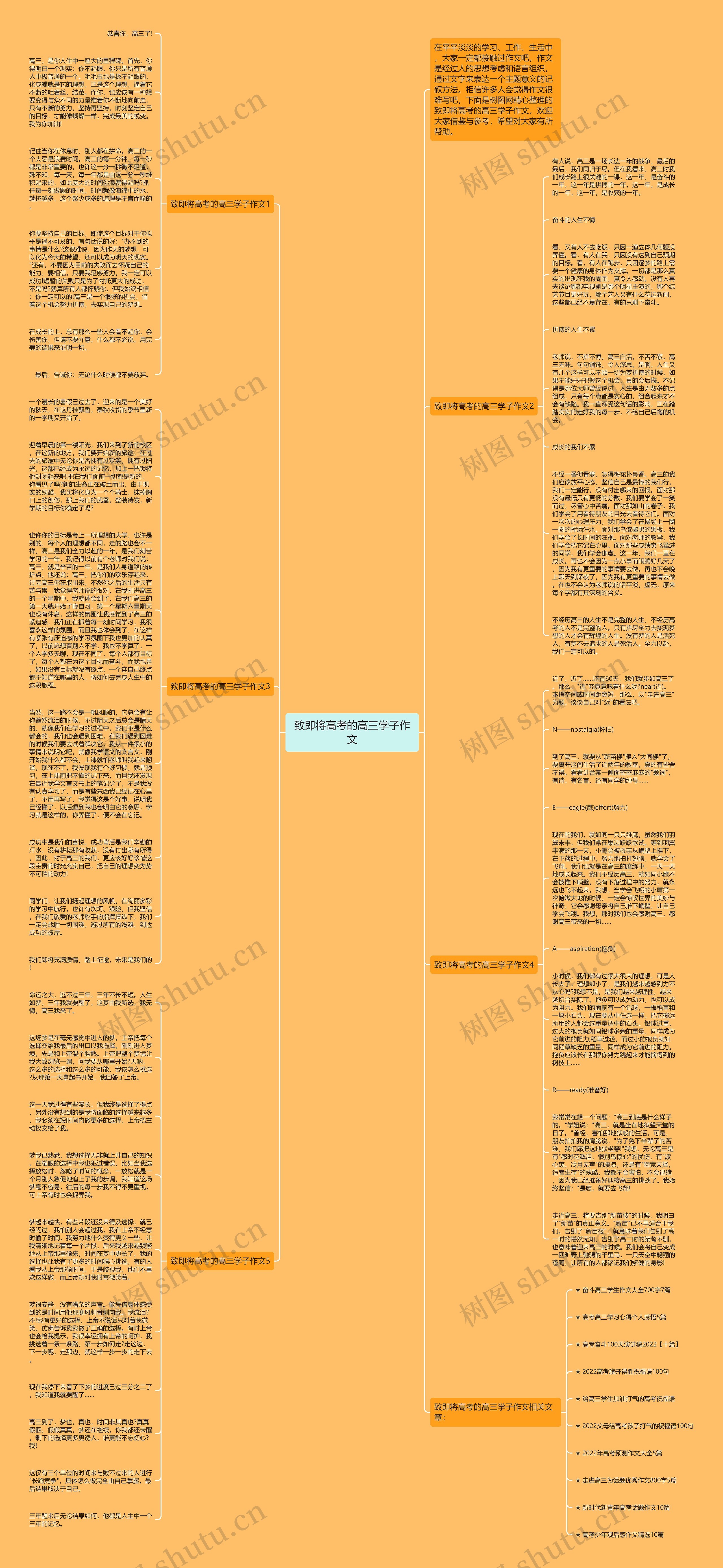 致即将高考的高三学子作文思维导图