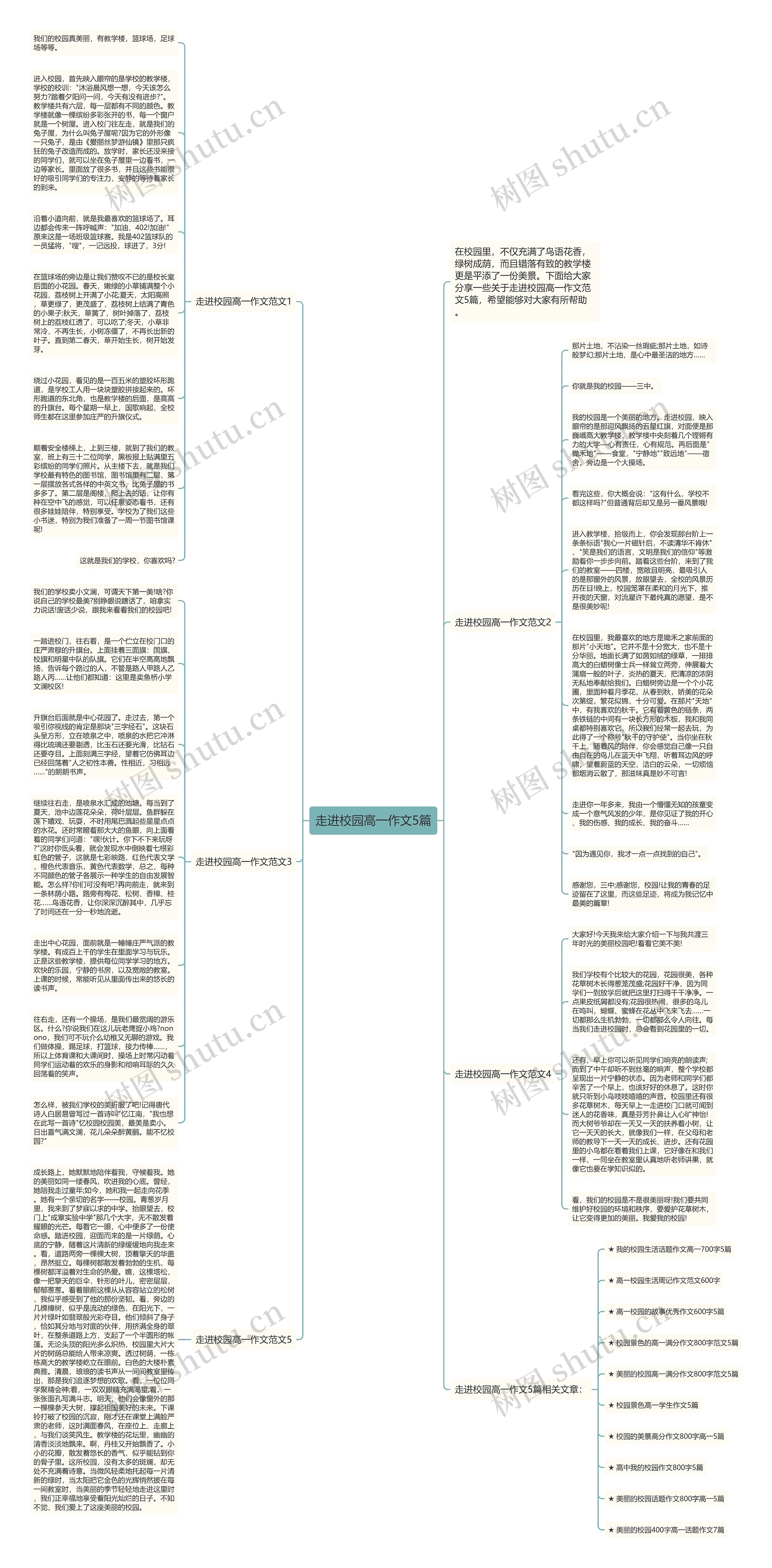 走进校园高一作文5篇思维导图