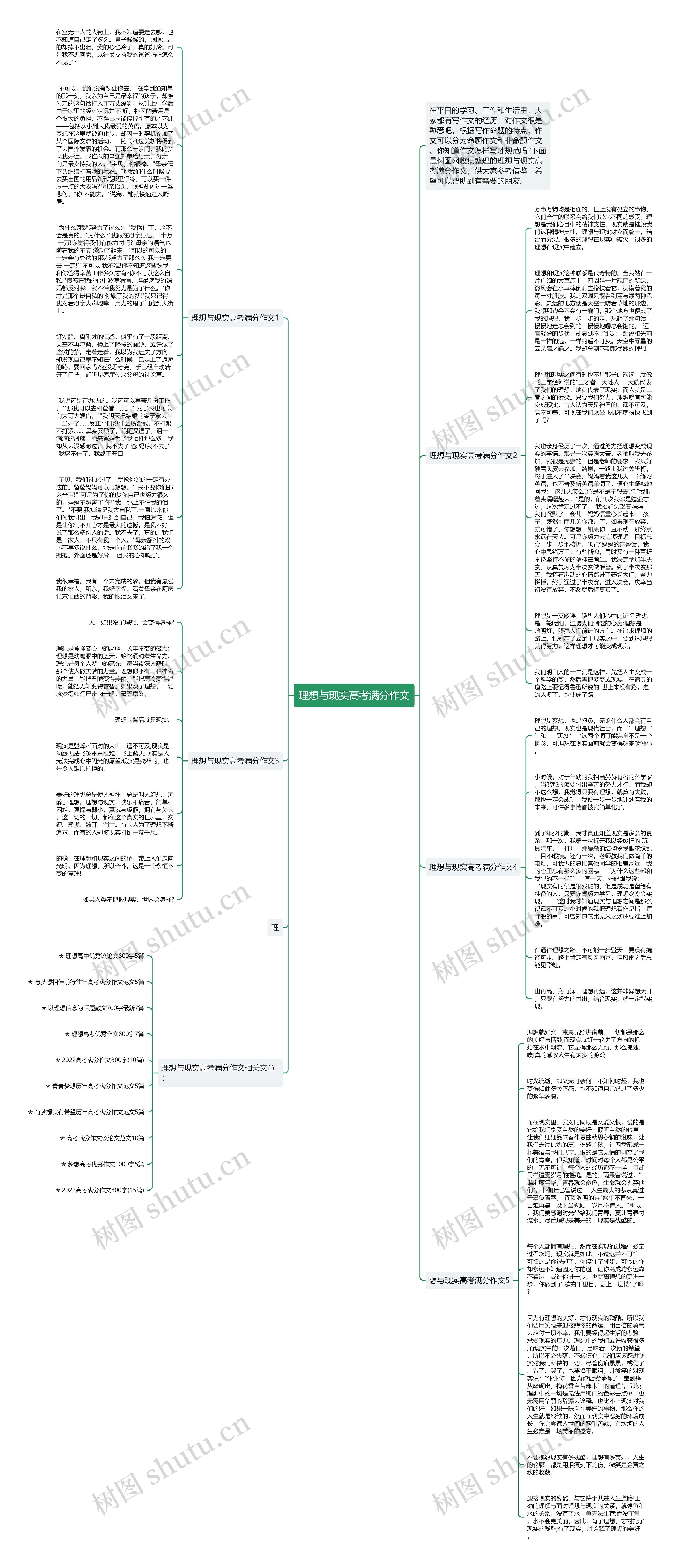 理想与现实高考满分作文