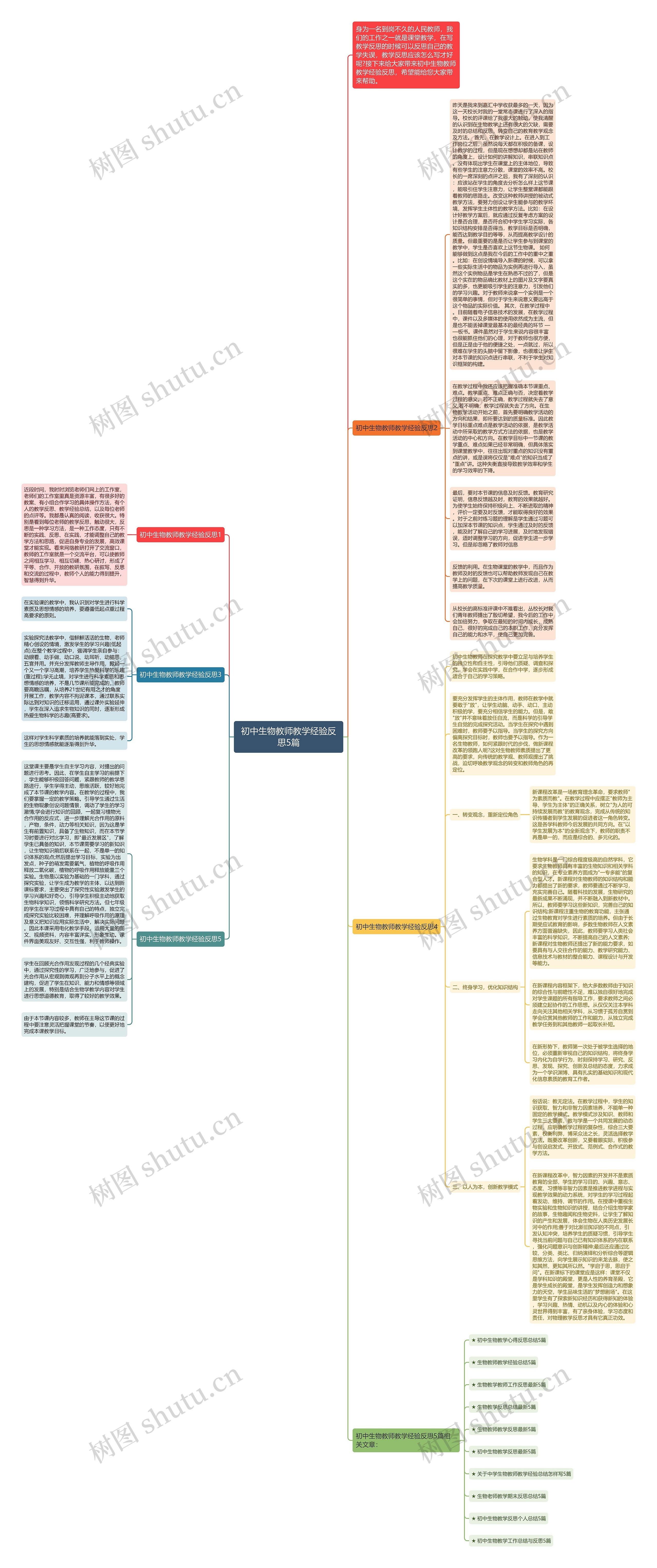 初中生物教师教学经验反思5篇思维导图